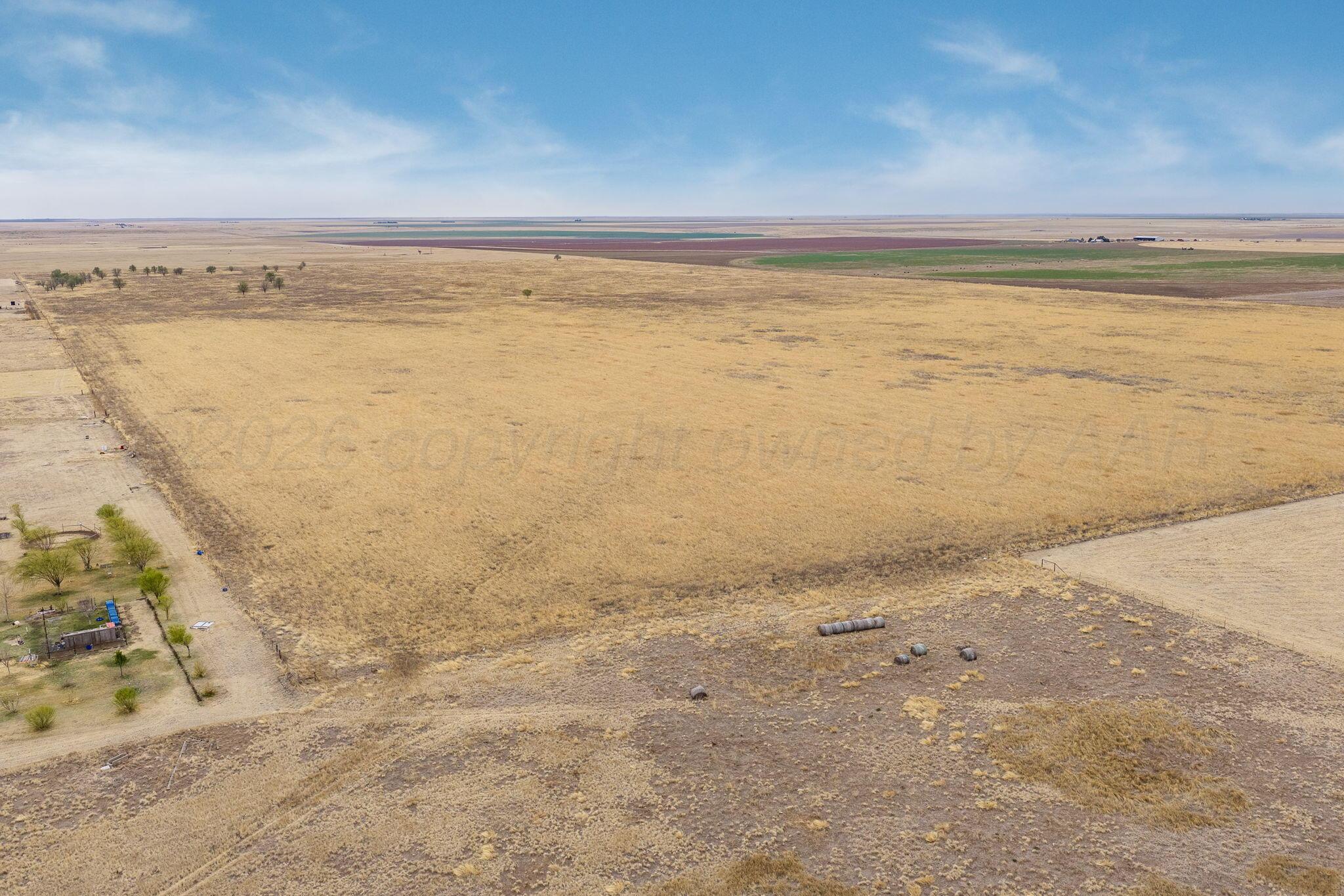 +/-180 Acres County Road 6 Property Photo 8