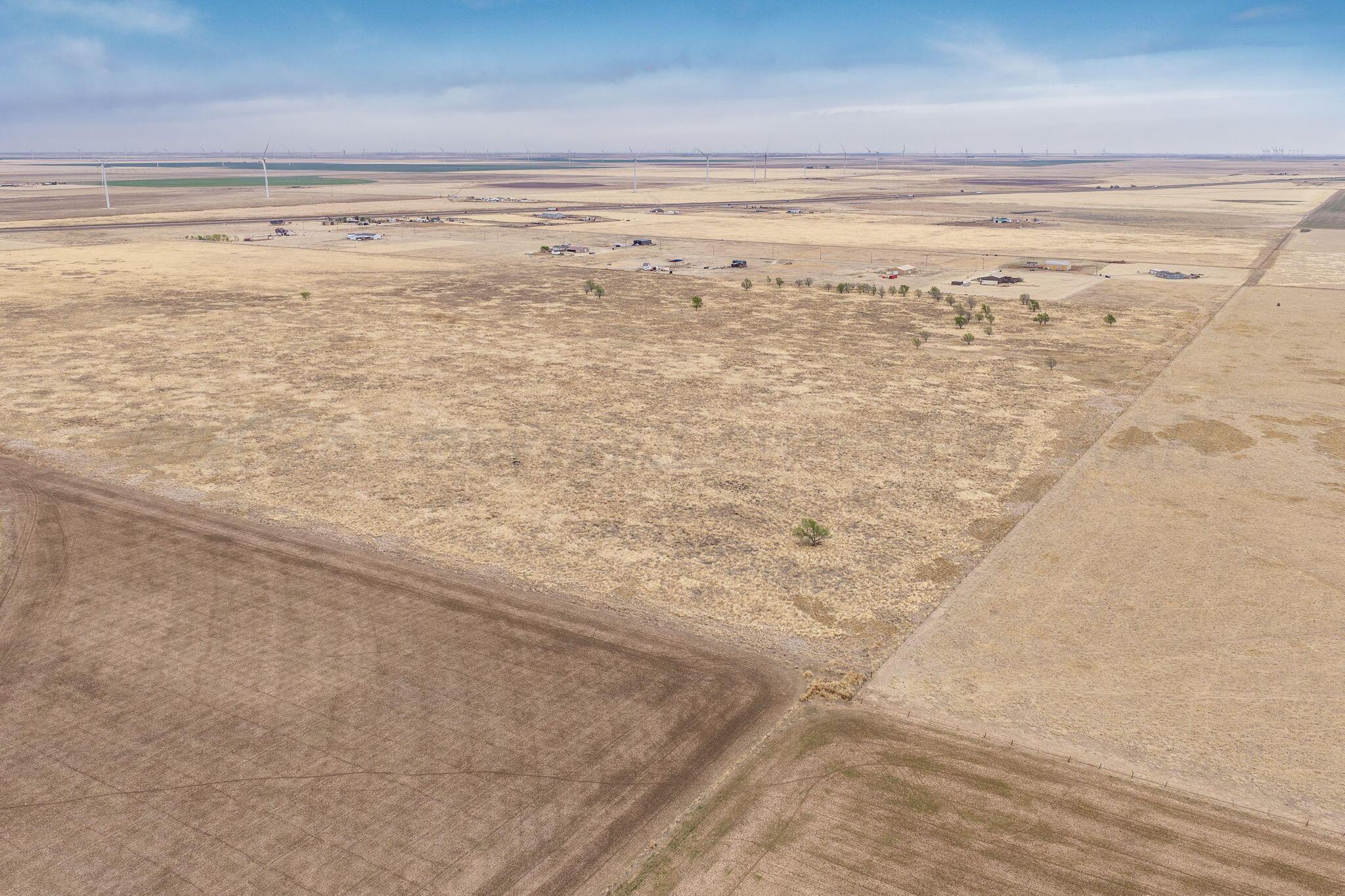 +/-180 Acres County Road 6 Property Photo 12