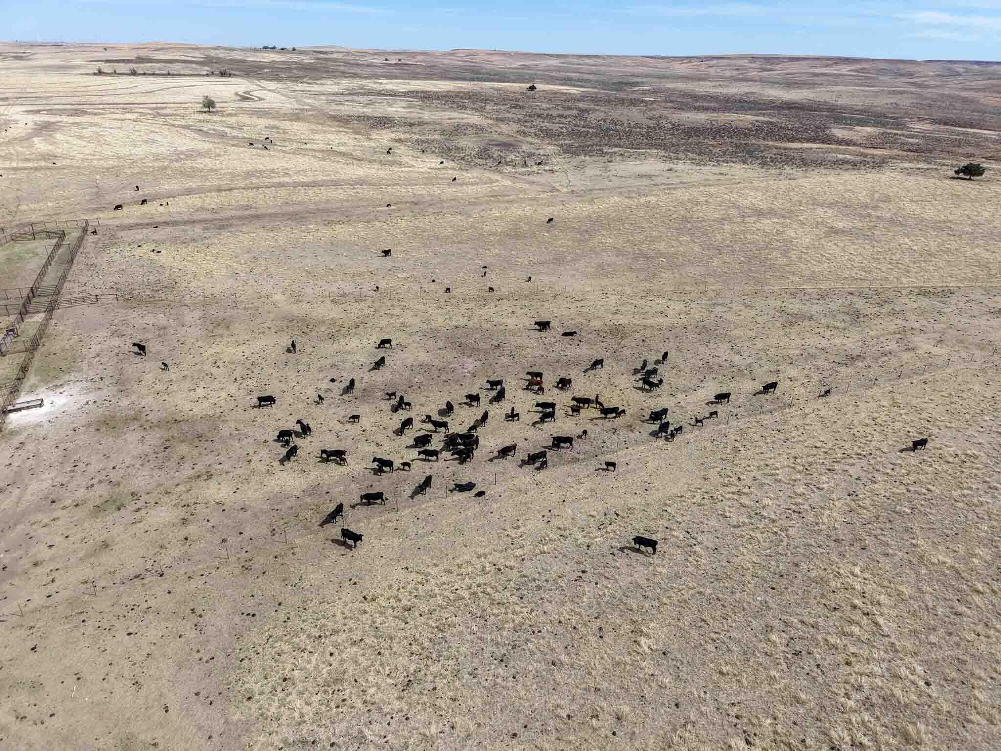 Big Sky Ranch Fm 48 Property Photo 19