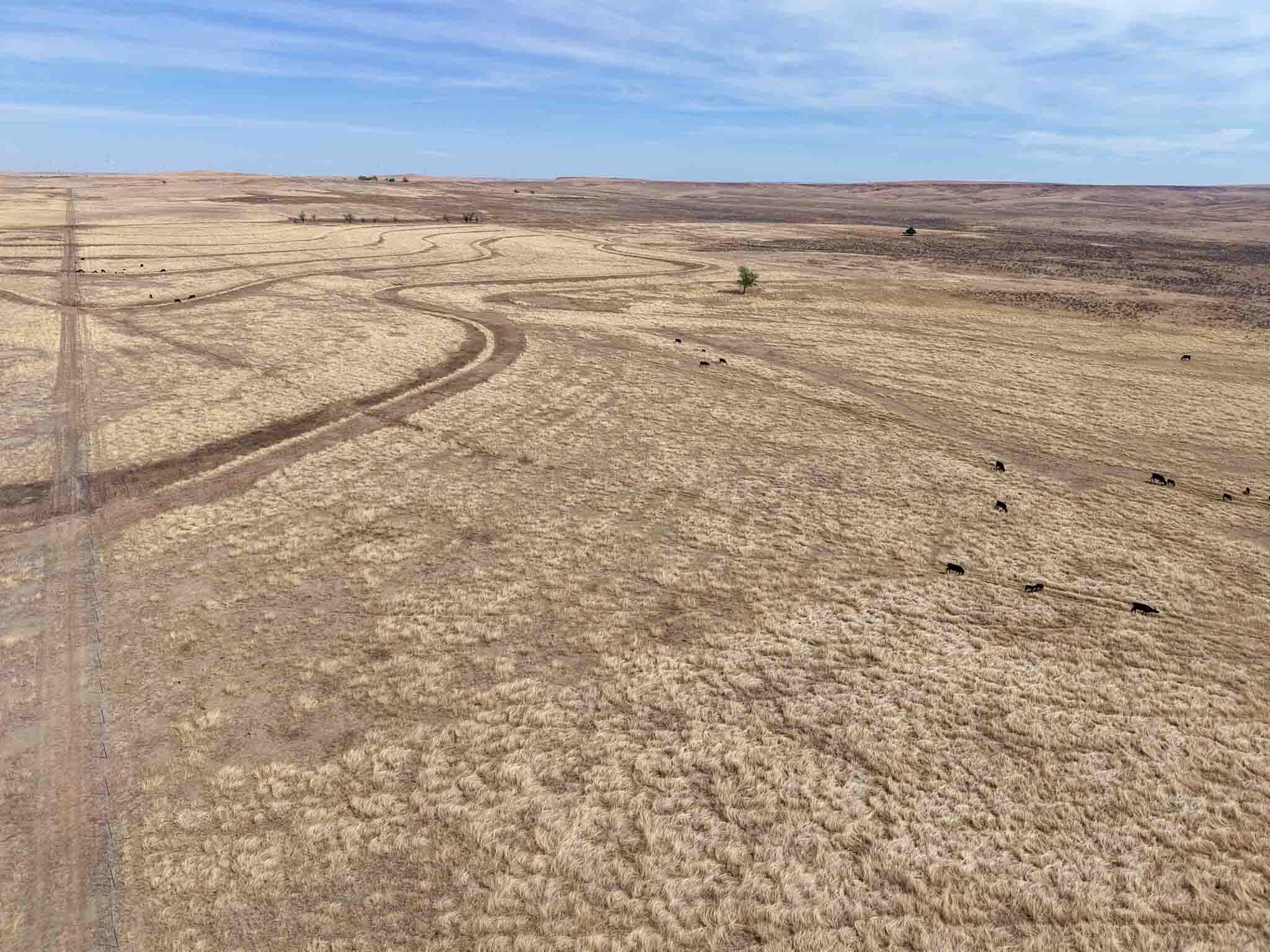 Big Sky Ranch Fm 48 Property Photo 25