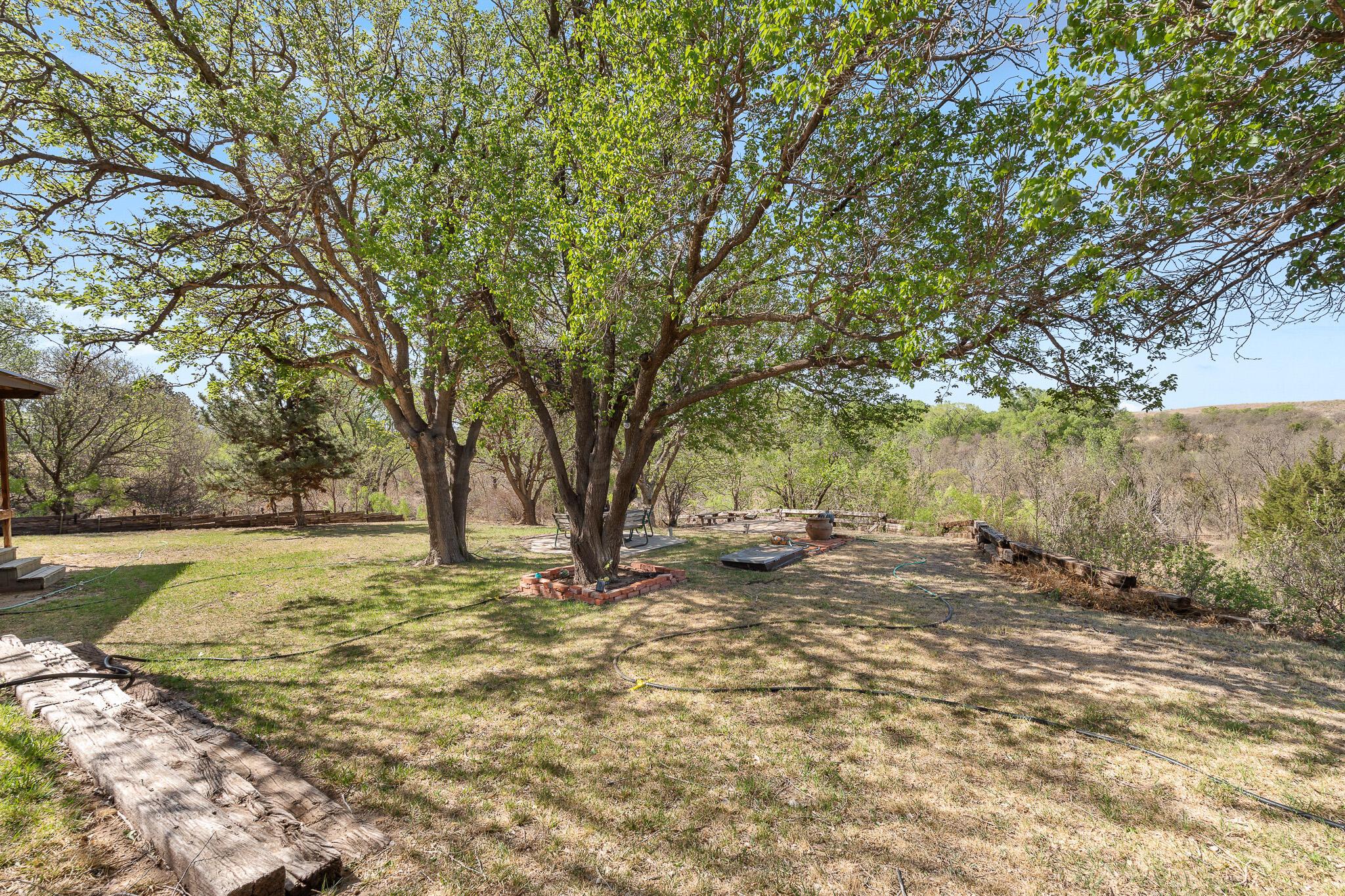 258 Carroll Creek Drive Property Photo 27