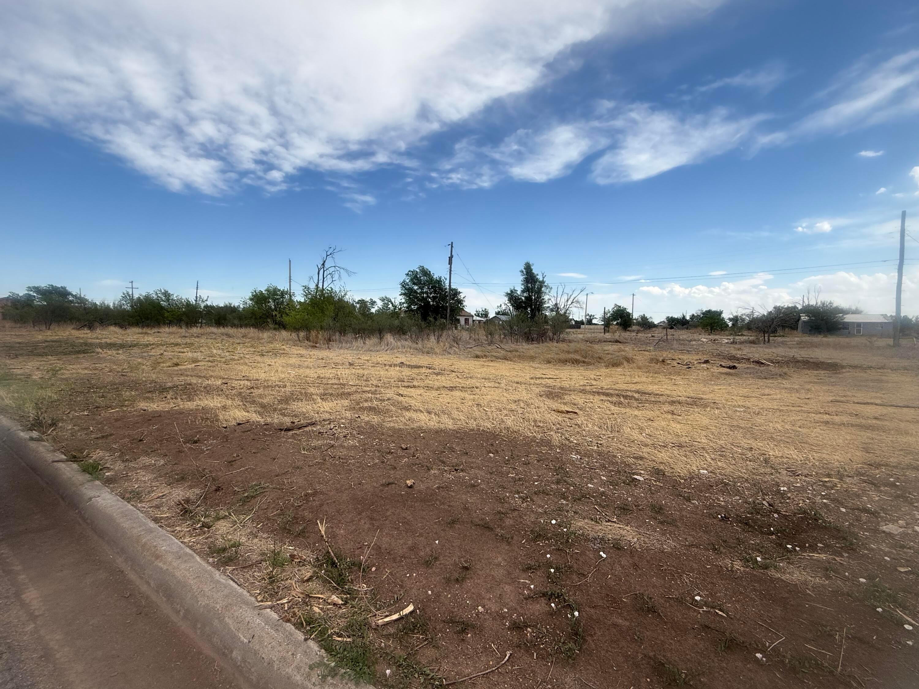 525 W Maple Avenue Property Photo 3