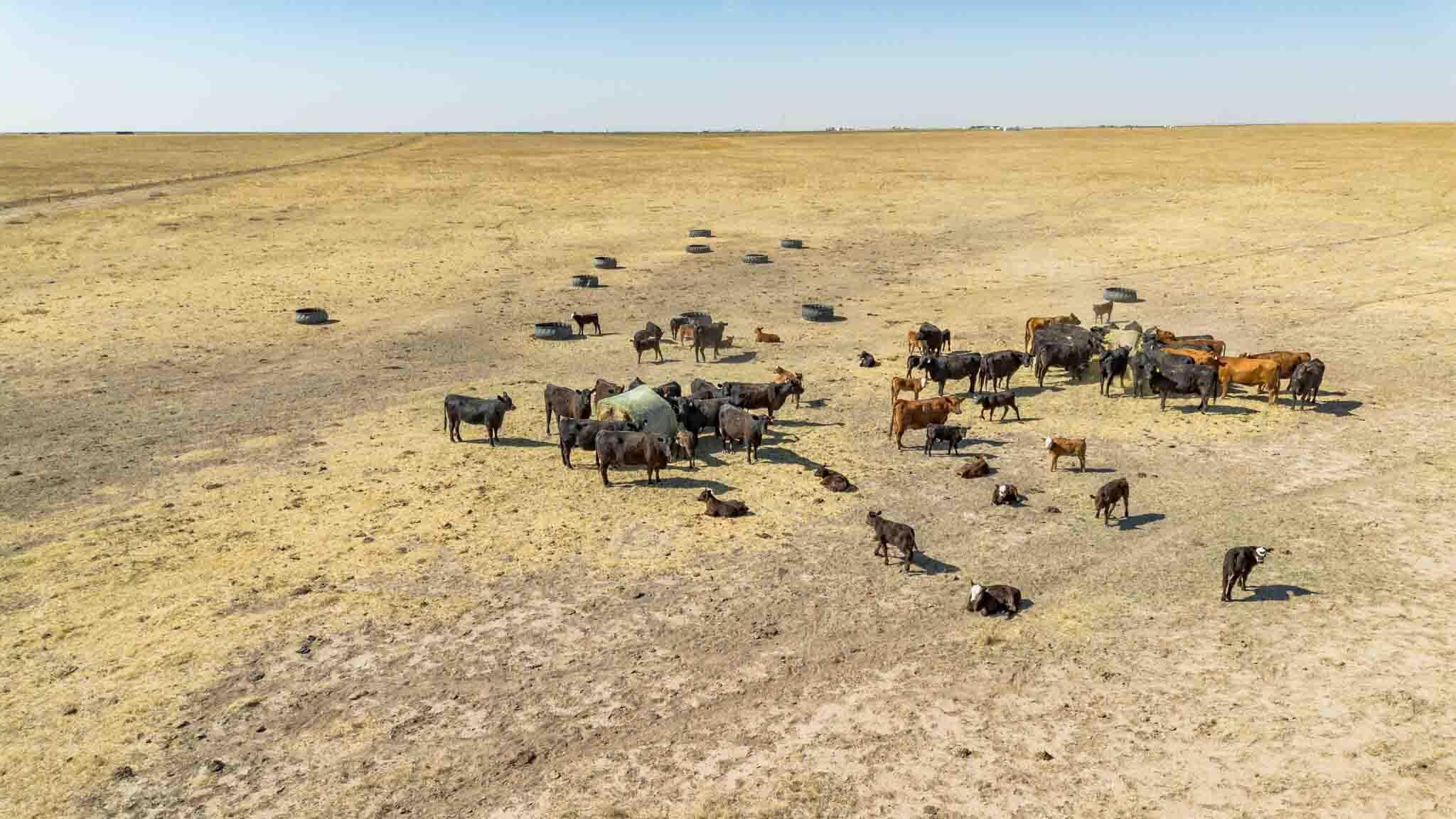 Baskin Ranch ±3,142.65ac Property Photo 8