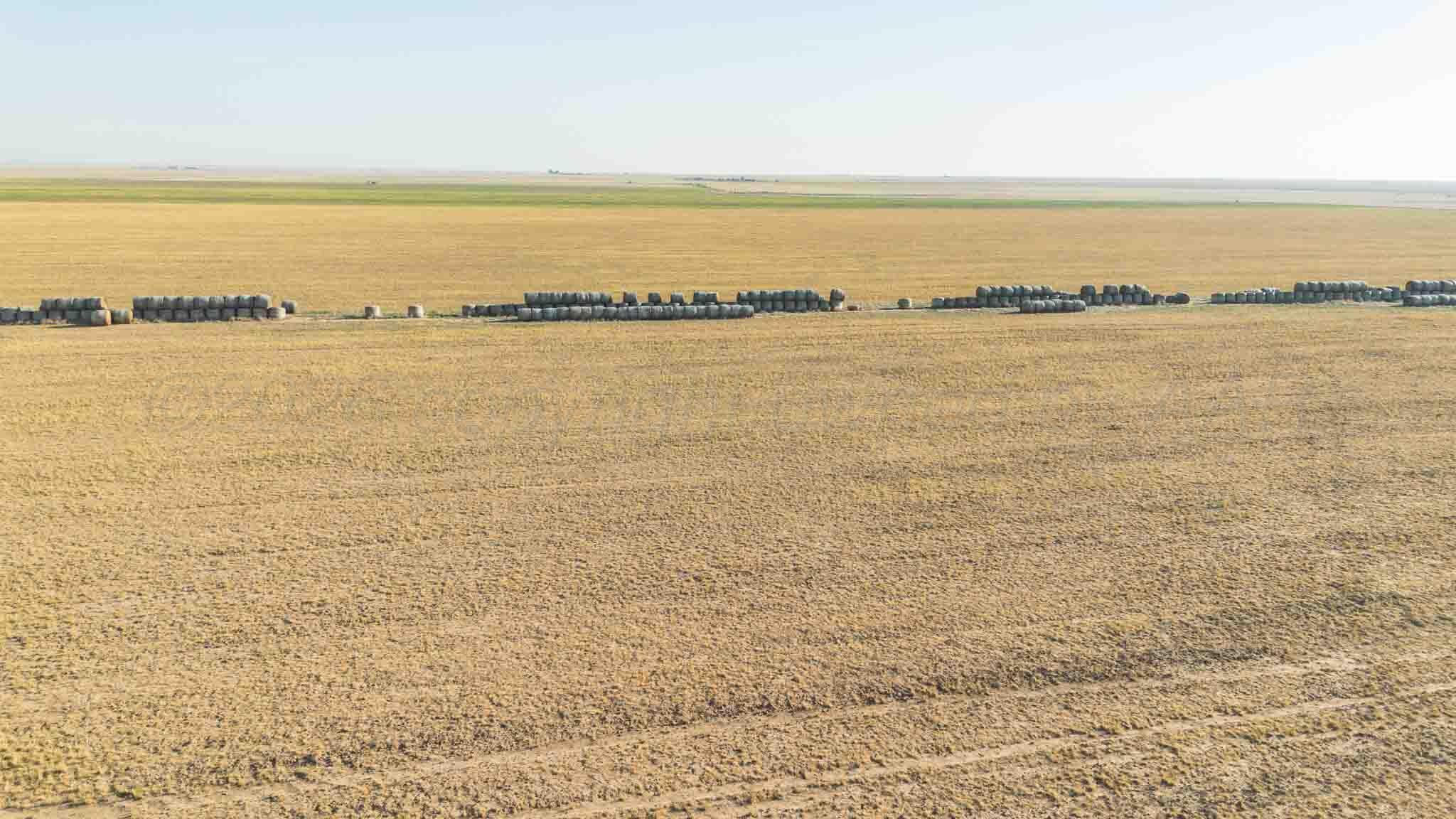 Baskin Ranch ±3,142.65ac Property Photo 26