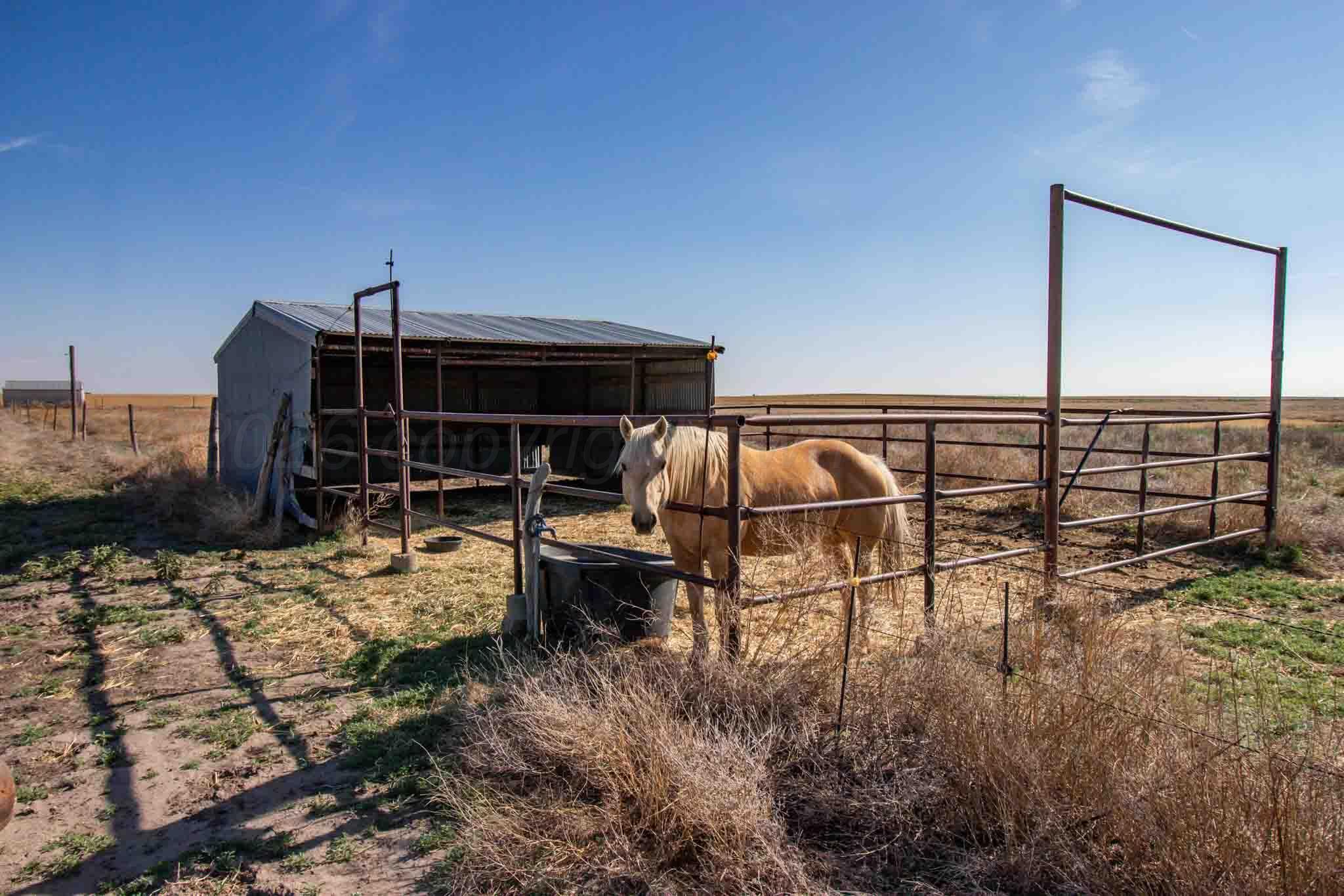 Baskin Ranch ±3,142.65ac Property Photo 67