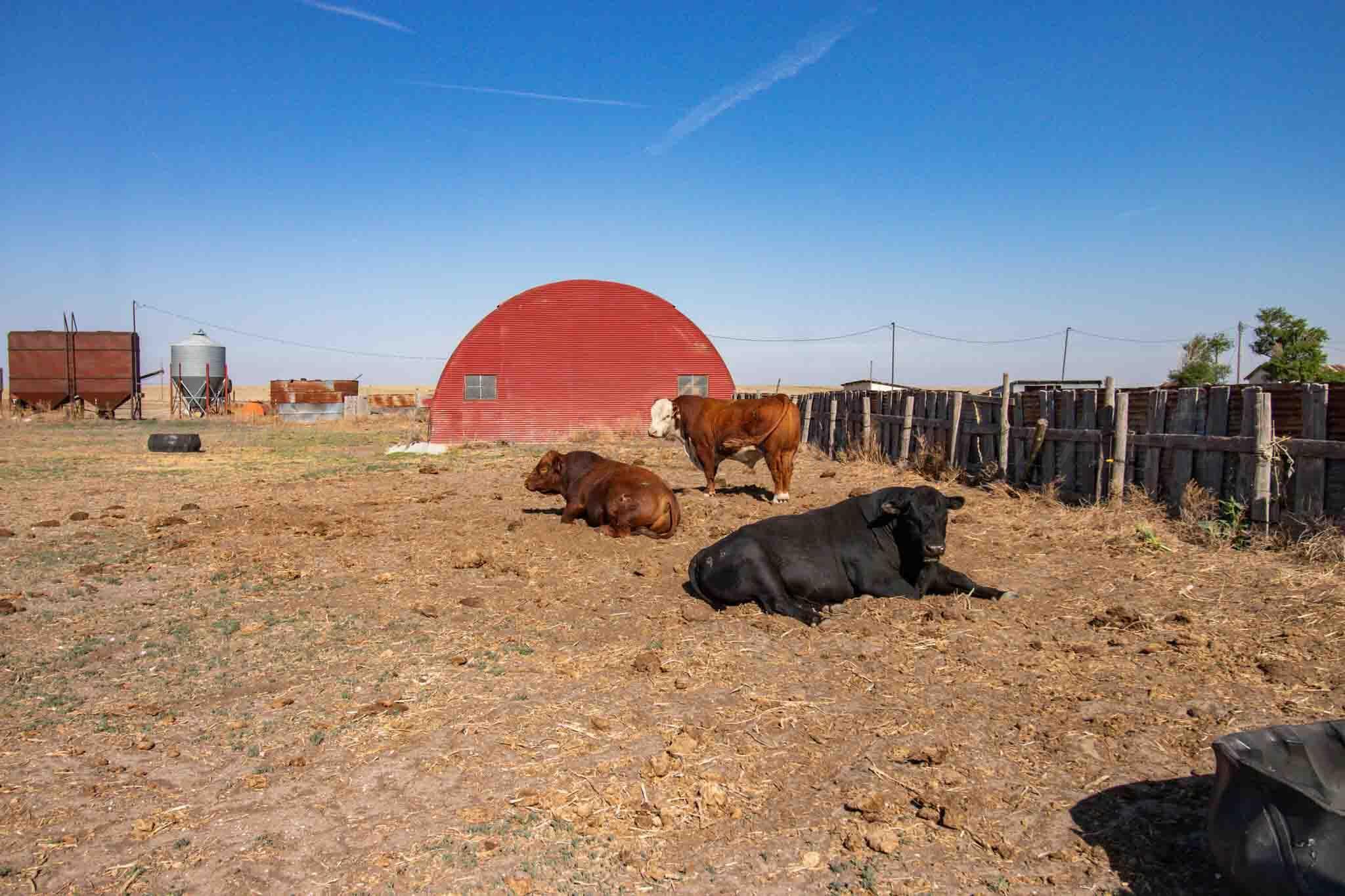 Baskin Ranch ±3,142.65ac Property Photo 69