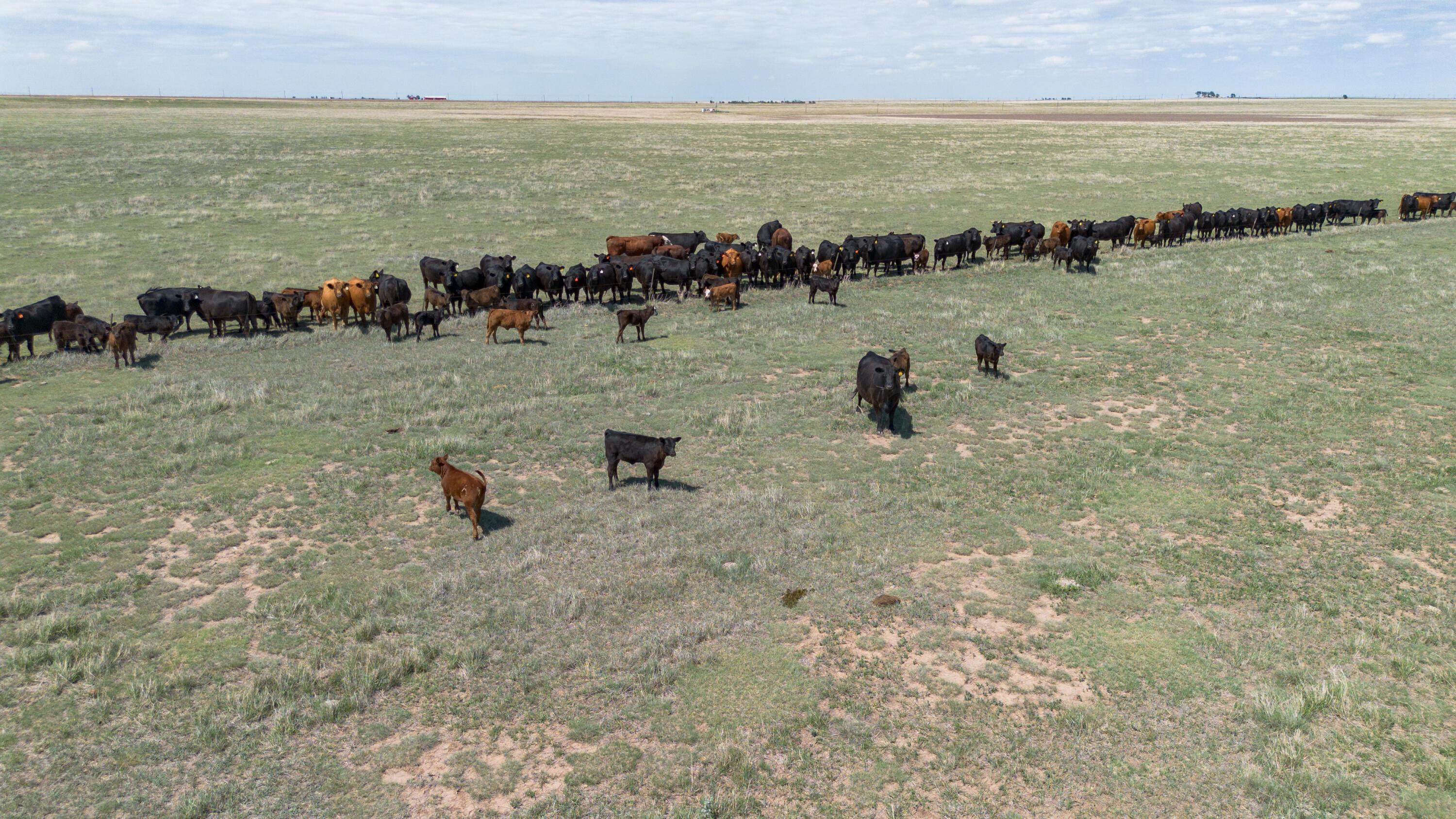 Baskin Ranch ±3,142.65ac Property Photo 88