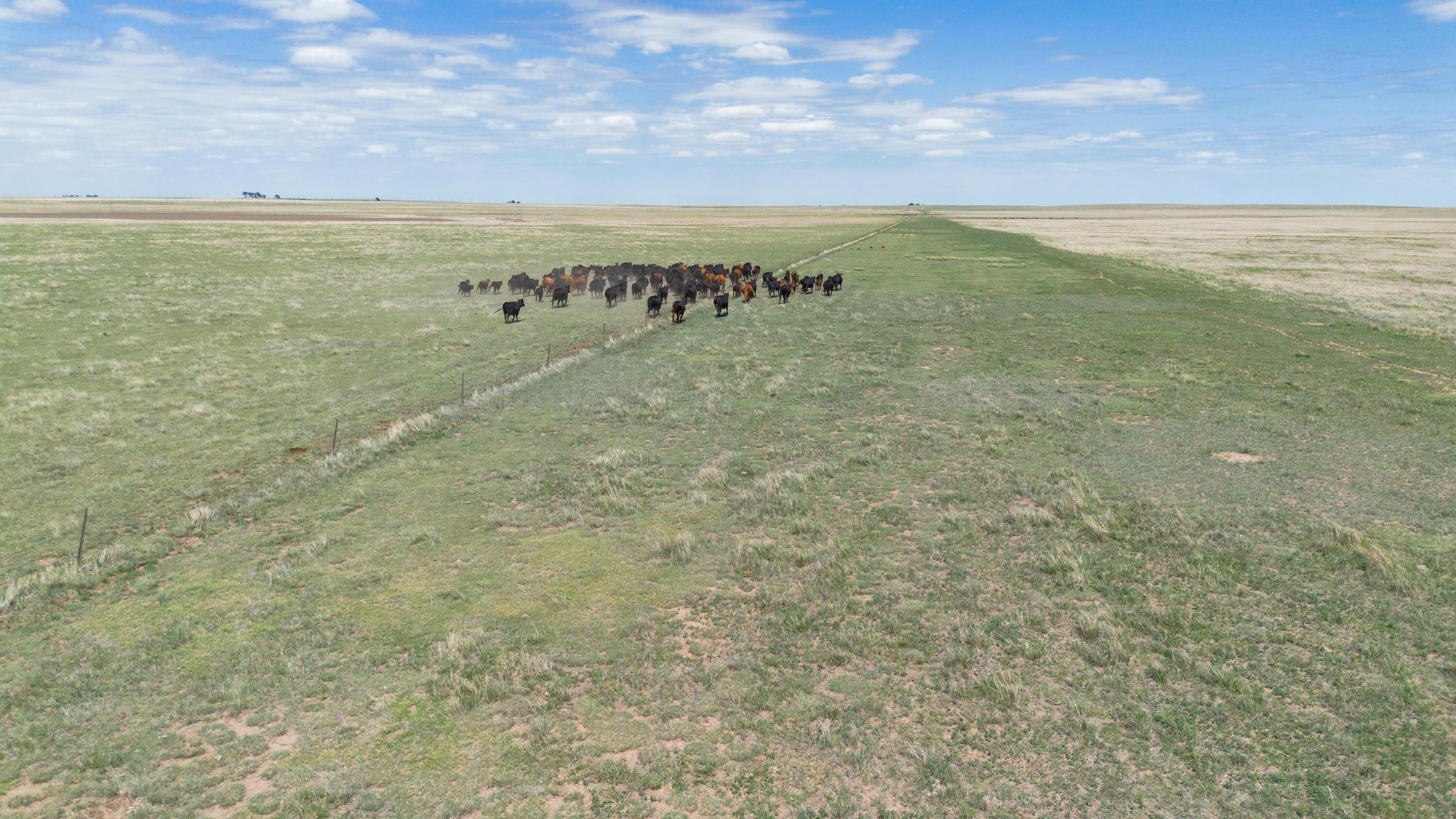Baskin Ranch ±3,142.65ac Property Photo 89