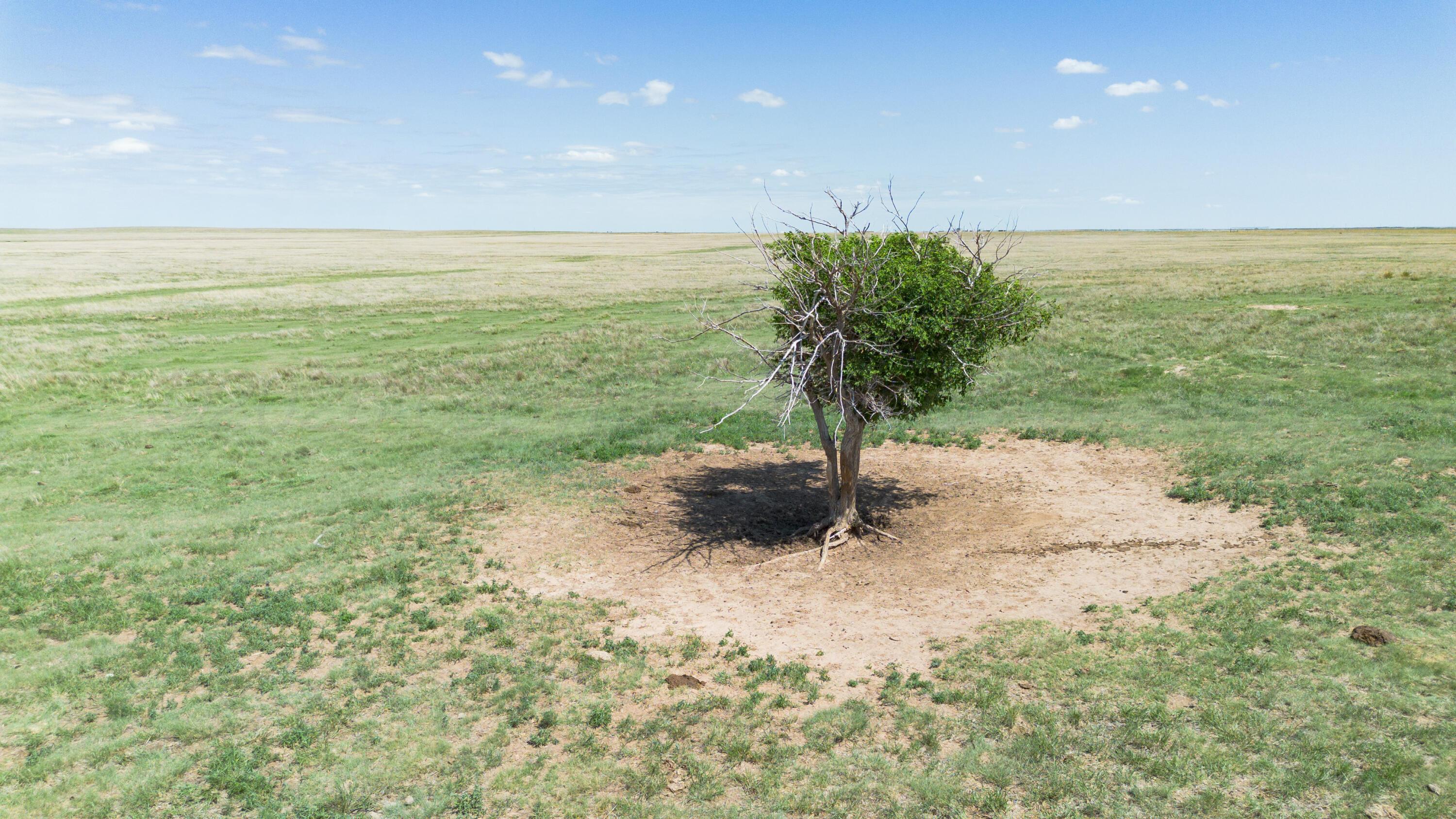 Baskin Ranch ±3,142.65ac Property Photo 92