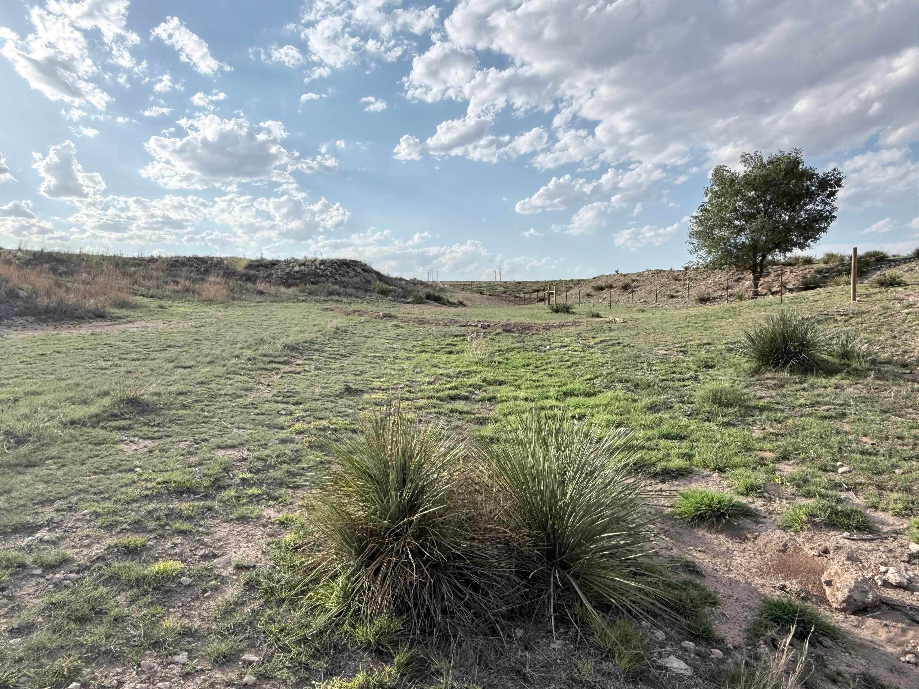 Hwy 287 Property Photo 4
