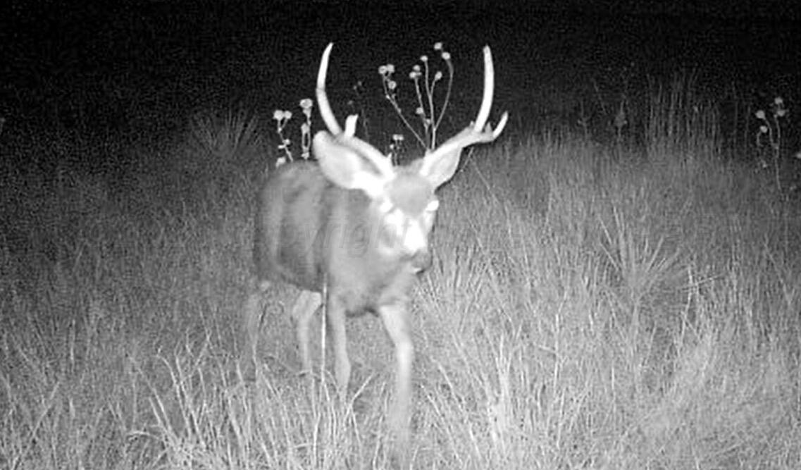 Hwy 287 Property Photo 11