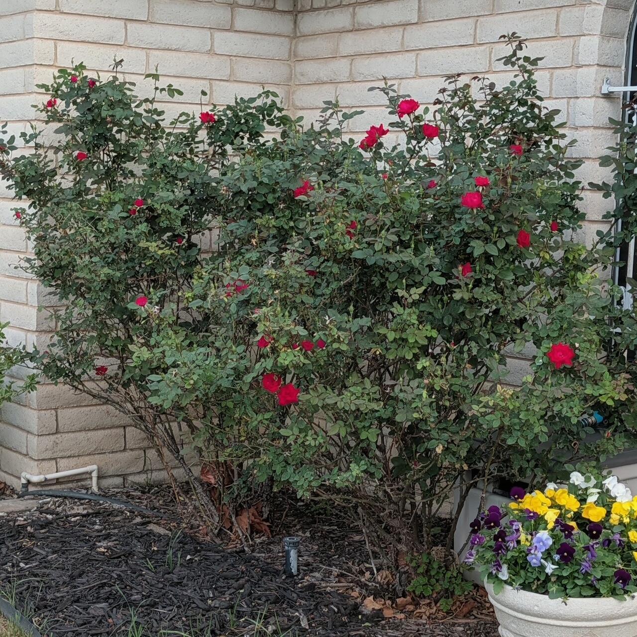 3 Sandstone Drive Property Photo 71