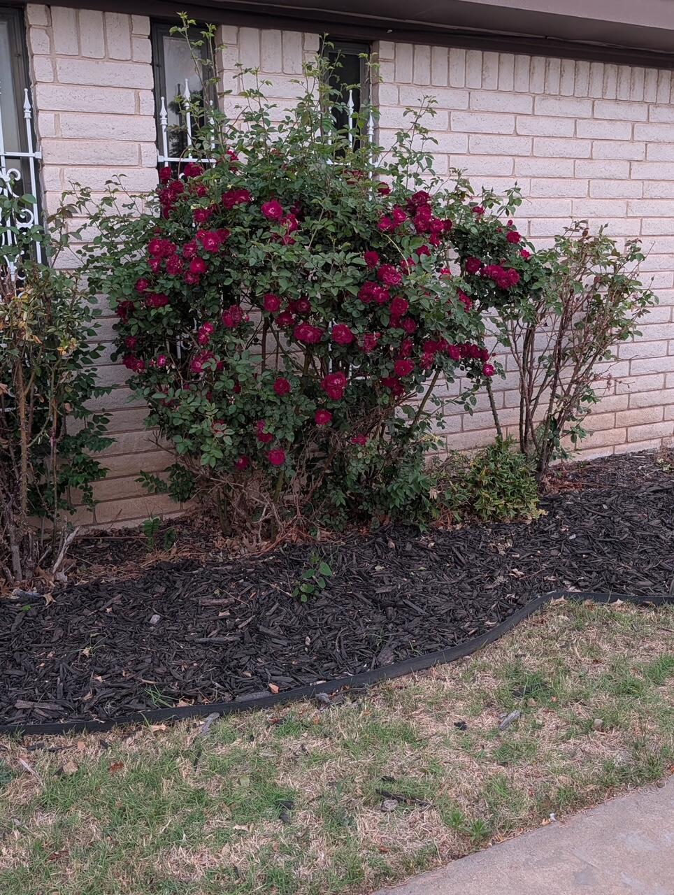 3 Sandstone Drive Property Photo 72