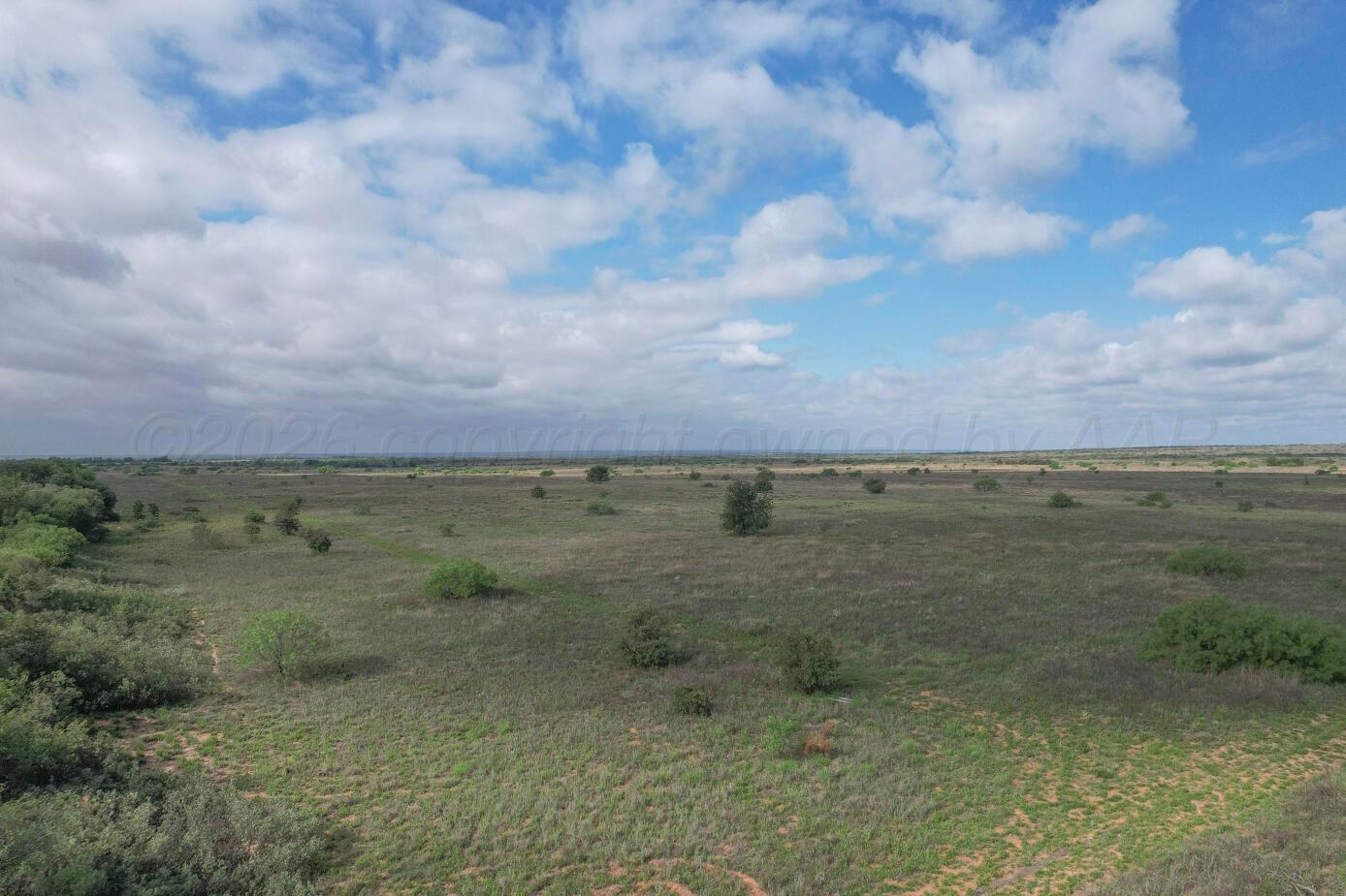 237.5 Acres Cottle County Property Photo 2