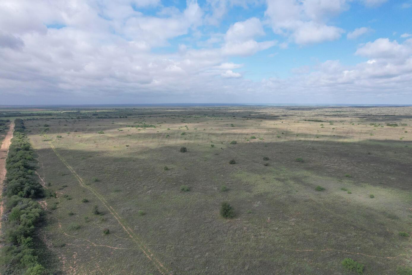 237.5 Acres Cottle County Property Photo 4