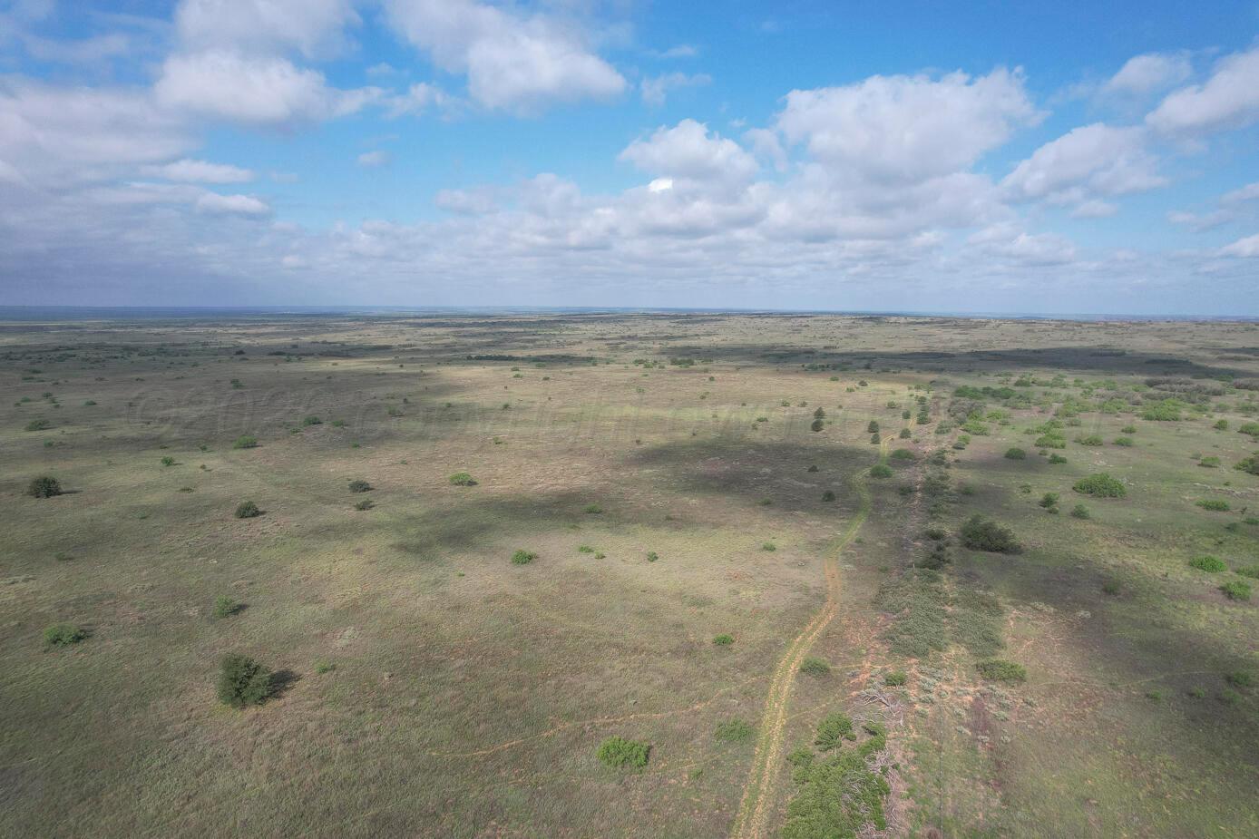 237.5 Acres Cottle County Property Photo 6