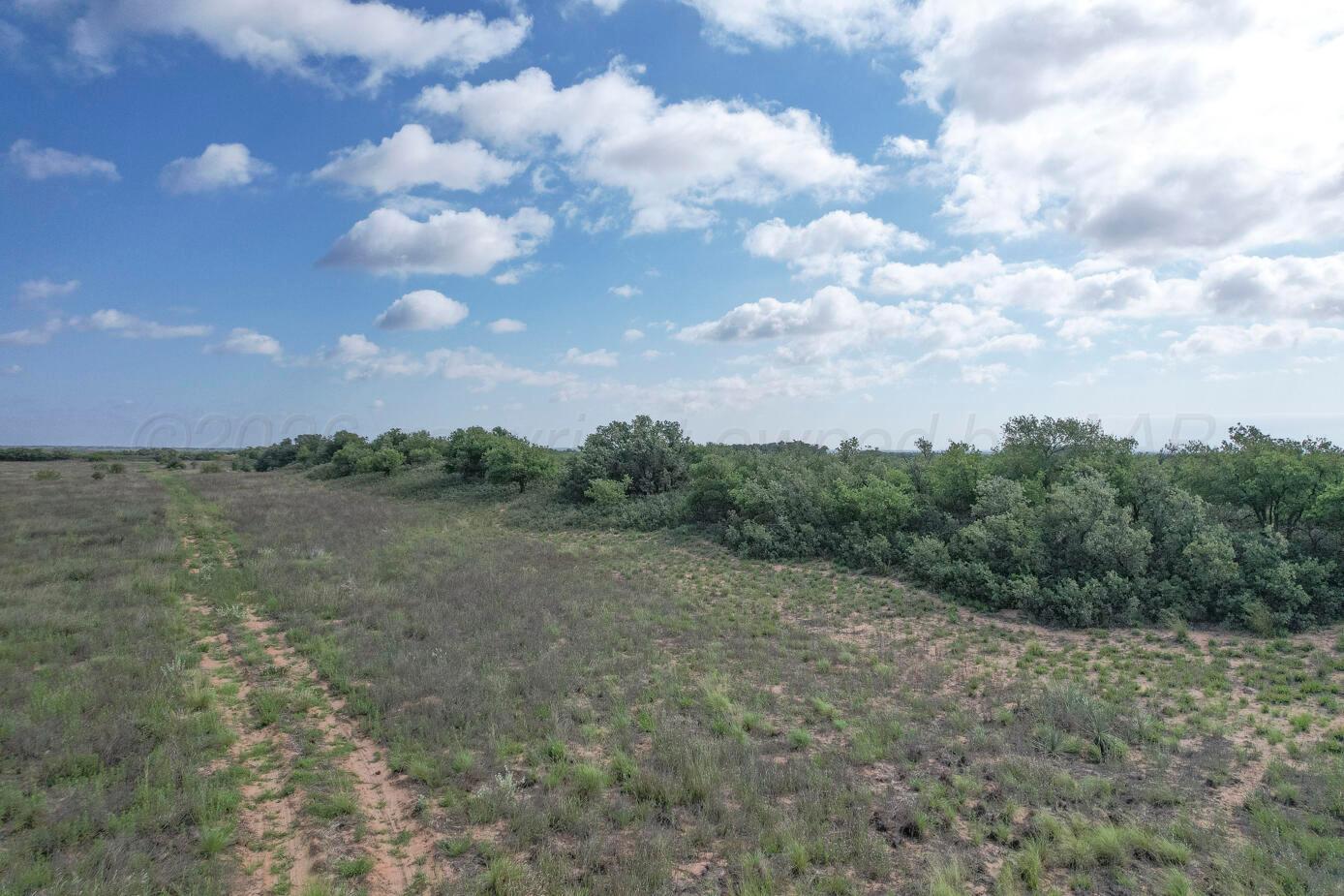 237.5 Acres Cottle County Property Photo 7