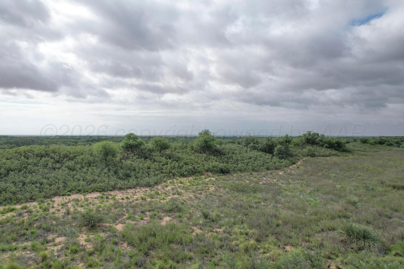 237.5 Acres Cottle County Property Photo 9