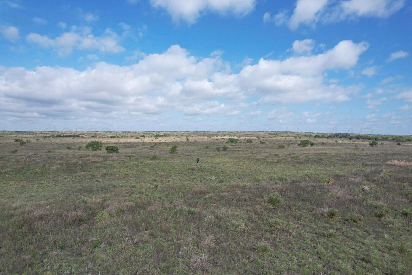 237.5 Acres Cottle County Property Photo 10