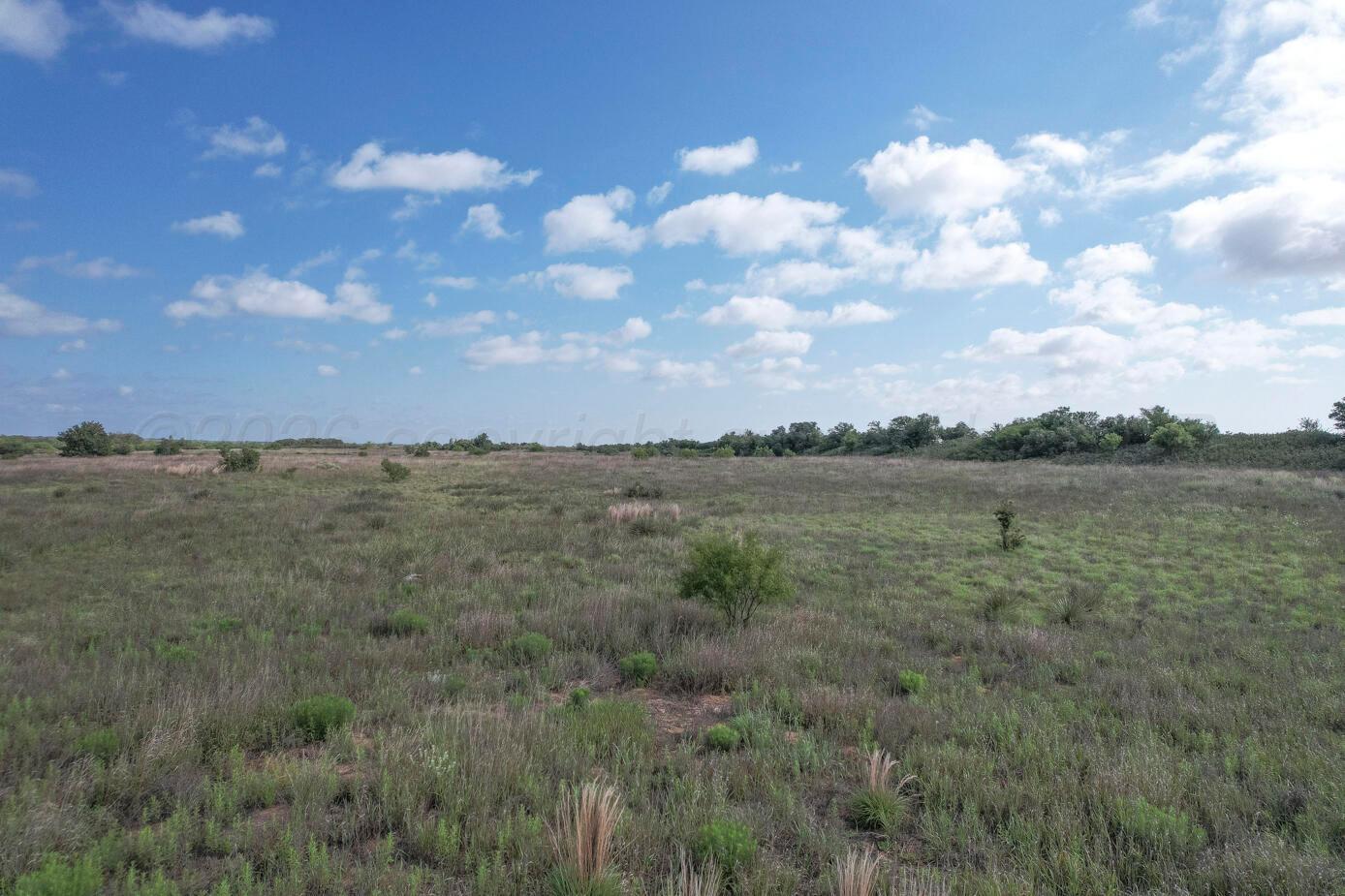 237.5 Acres Cottle County Property Photo 11