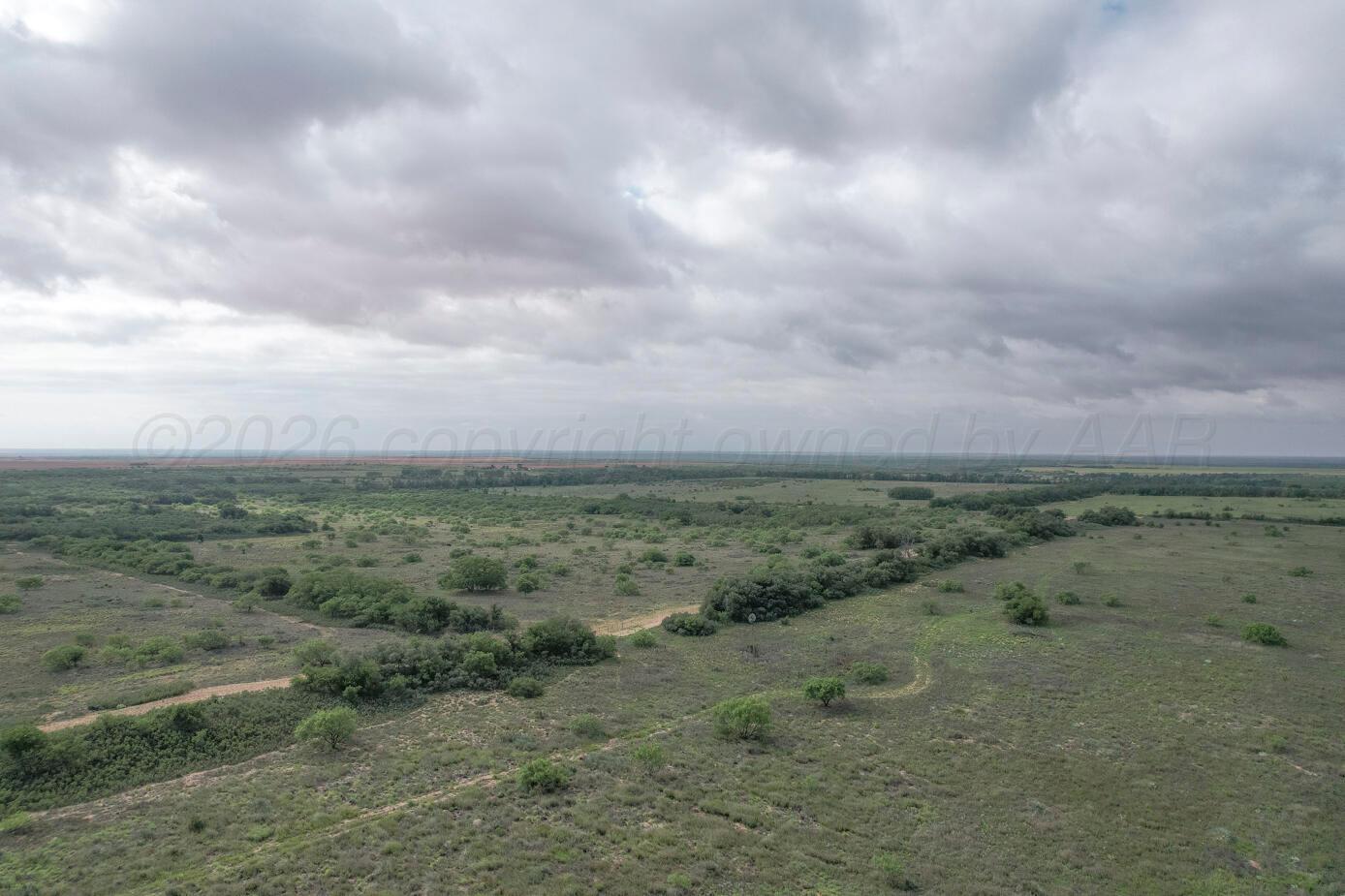 237.5 Acres Cottle County Property Photo 14