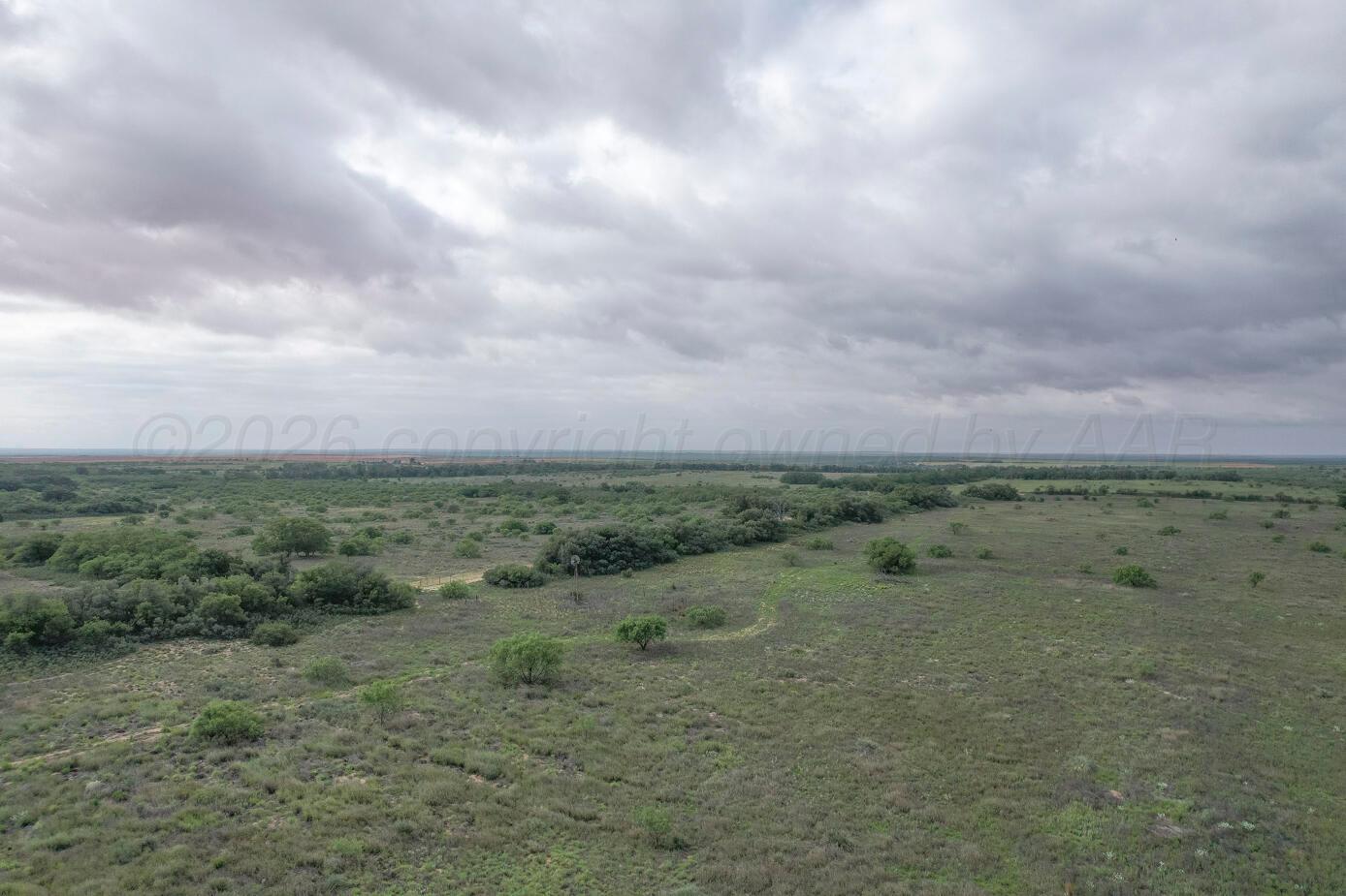 237.5 Acres Cottle County Property Photo 18