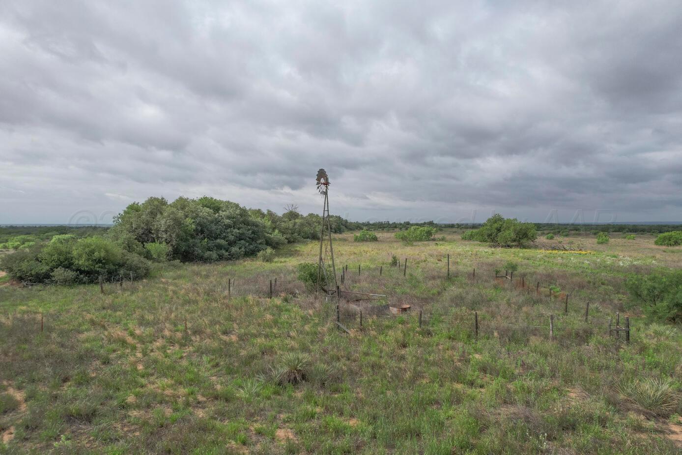 237.5 Acres Cottle County Property Photo 19