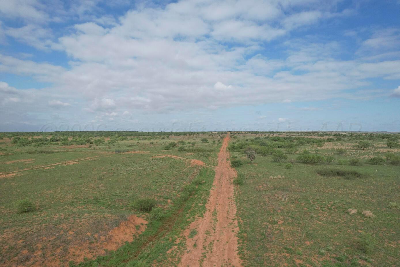 237.5 Acres Cottle County Property Photo 23