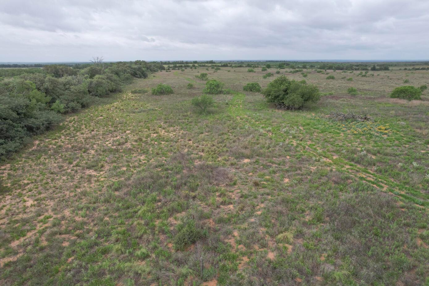 237.5 Acres Cottle County Property Photo 25