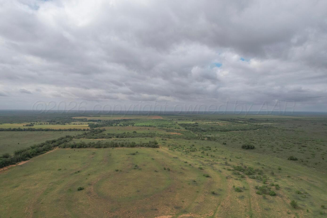 237.5 Acres Cottle County Property Photo 28