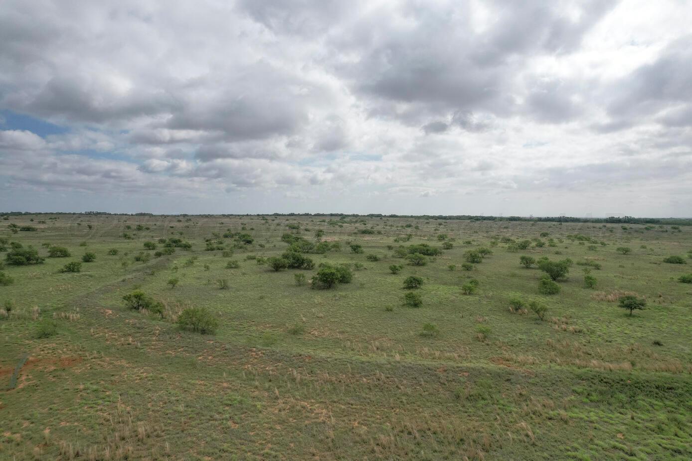 237.5 Acres Cottle County Property Photo 30