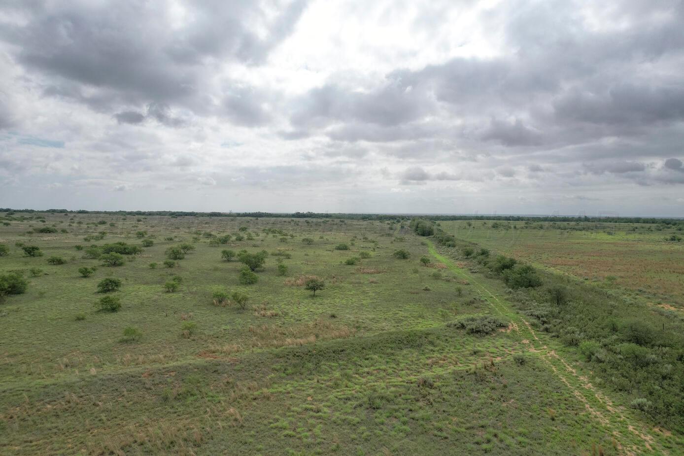 237.5 Acres Cottle County Property Photo 31
