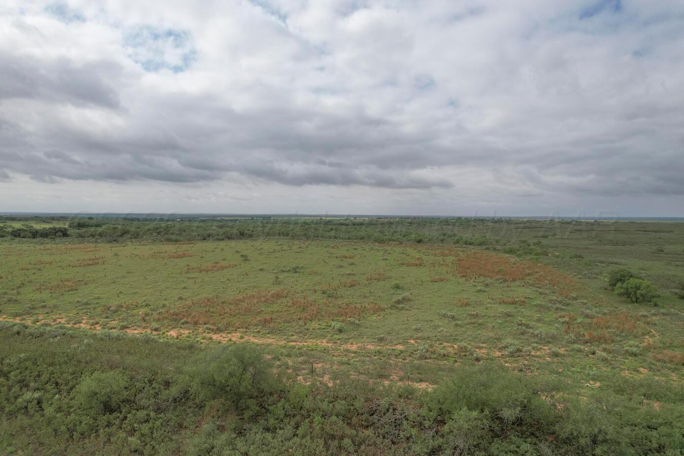 237.5 Acres Cottle County Property Photo 32