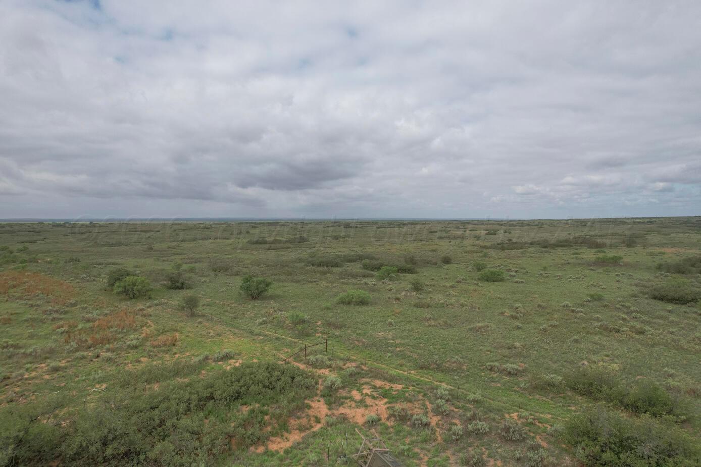 237.5 Acres Cottle County Property Photo 33