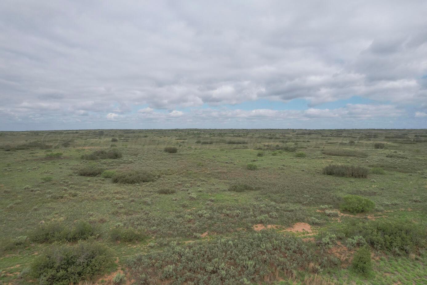 237.5 Acres Cottle County Property Photo 35