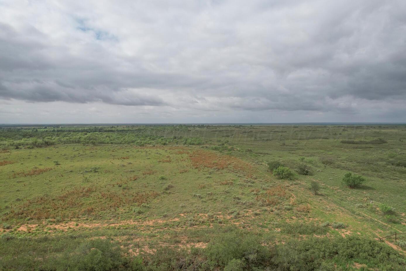 237.5 Acres Cottle County Property Photo 39