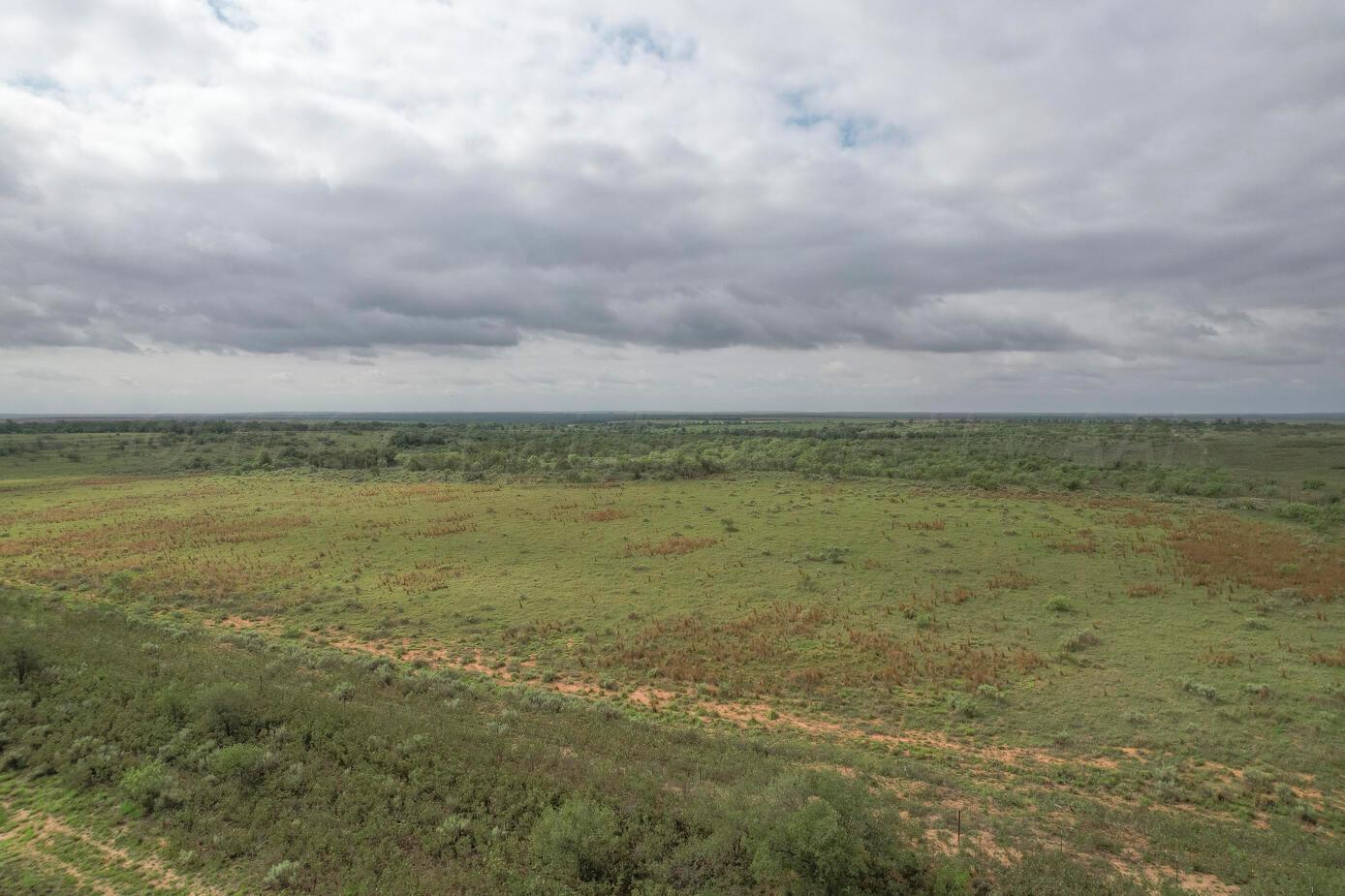 237.5 Acres Cottle County Property Photo 40