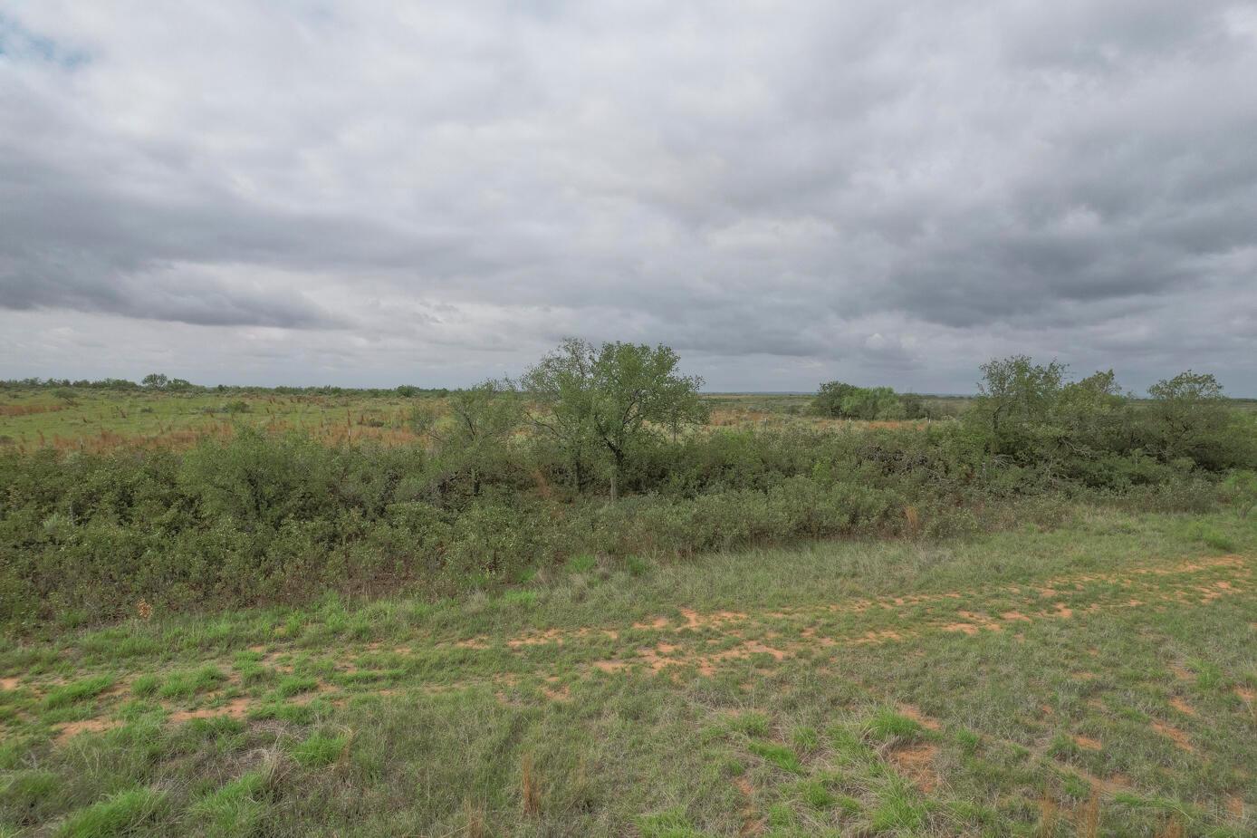 237.5 Acres Cottle County Property Photo 42