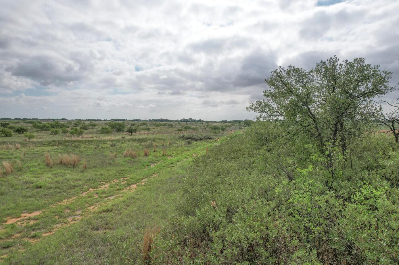 237.5 Acres Cottle County Property Photo 43