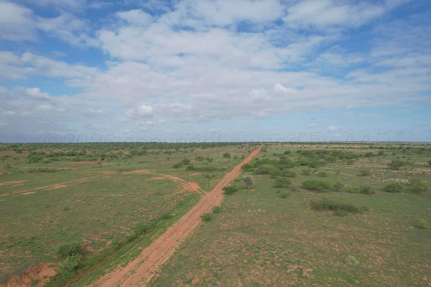237.5 Acres Cottle County Property Photo 45
