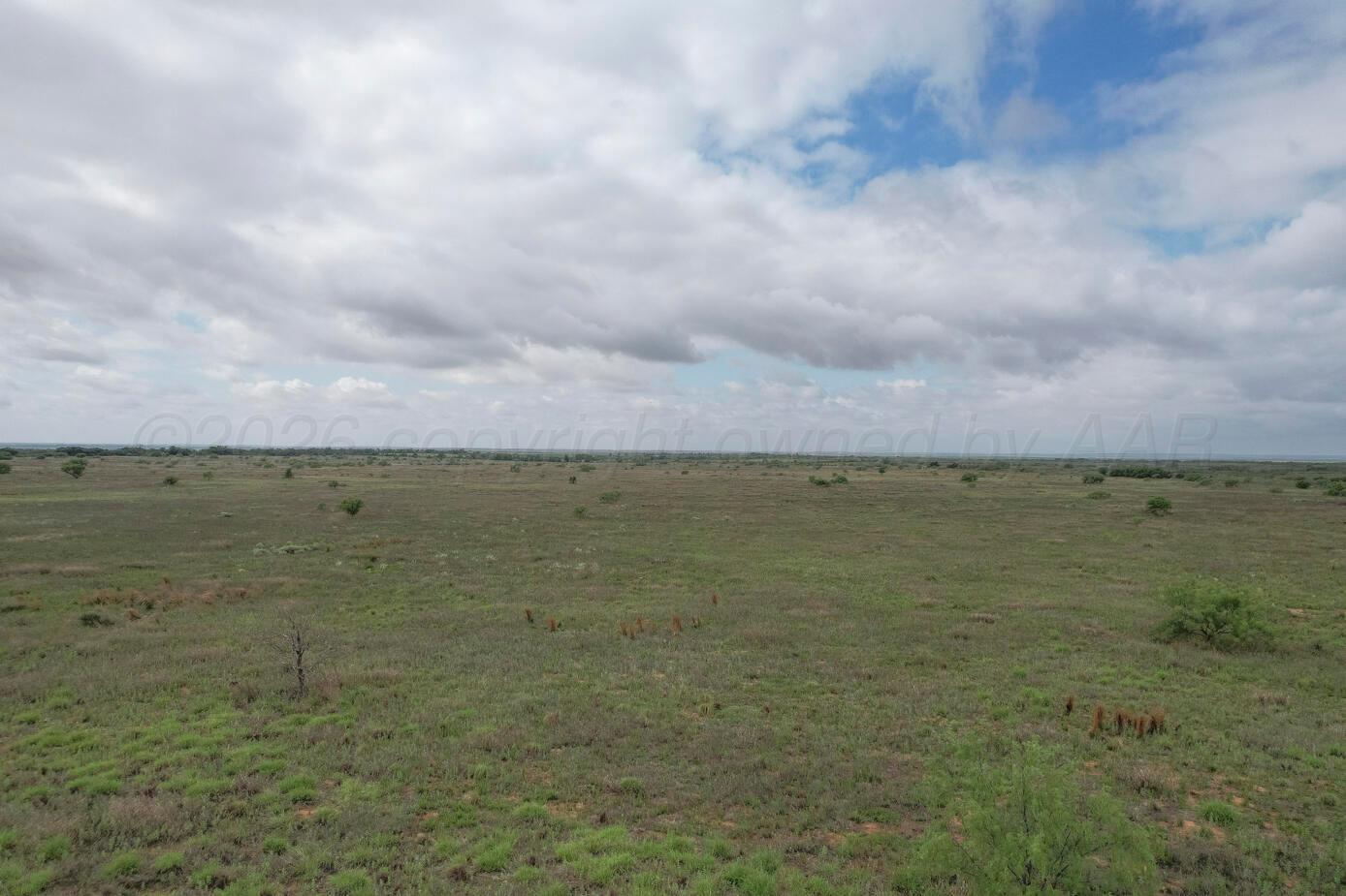 237.5 Acres Cottle County Property Photo 47