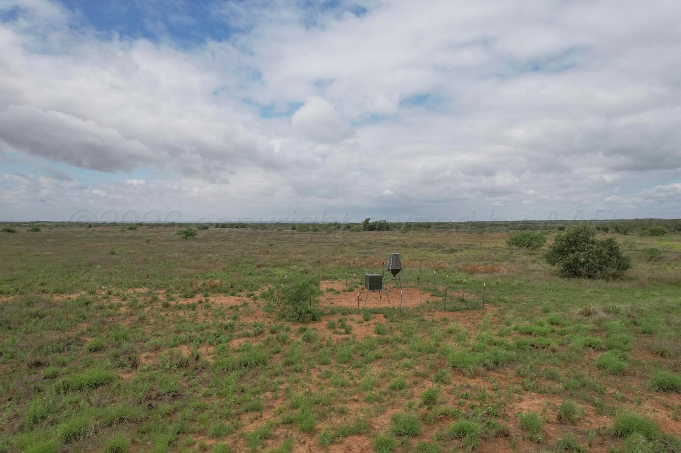 237.5 Acres Cottle County Property Photo 52