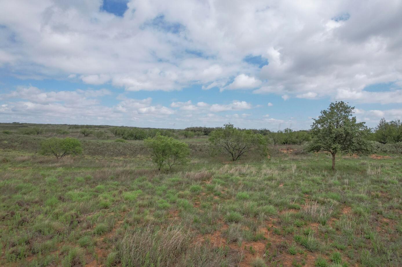 237.5 Acres Cottle County Property Photo 53
