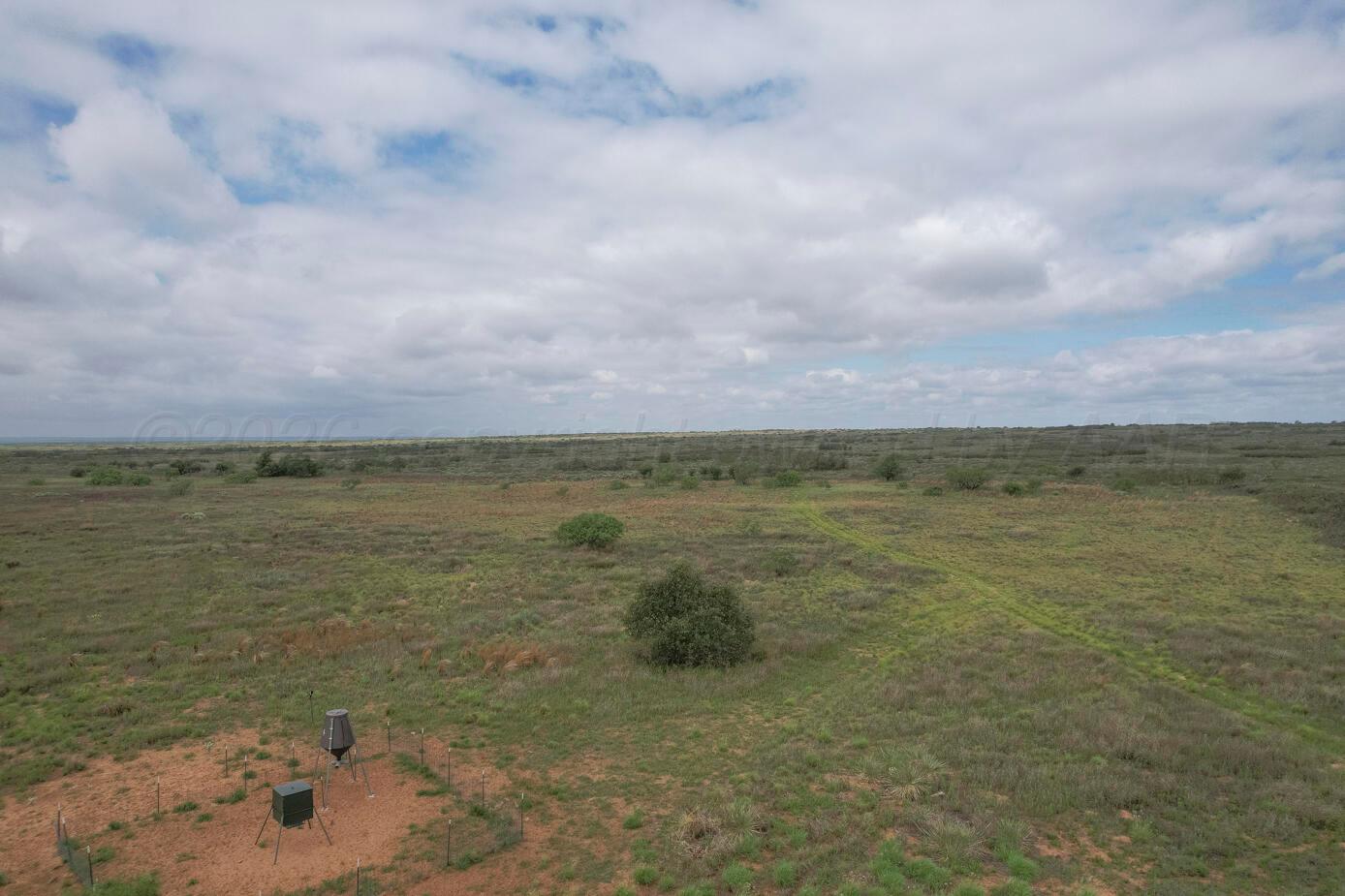 237.5 Acres Cottle County Property Photo 58