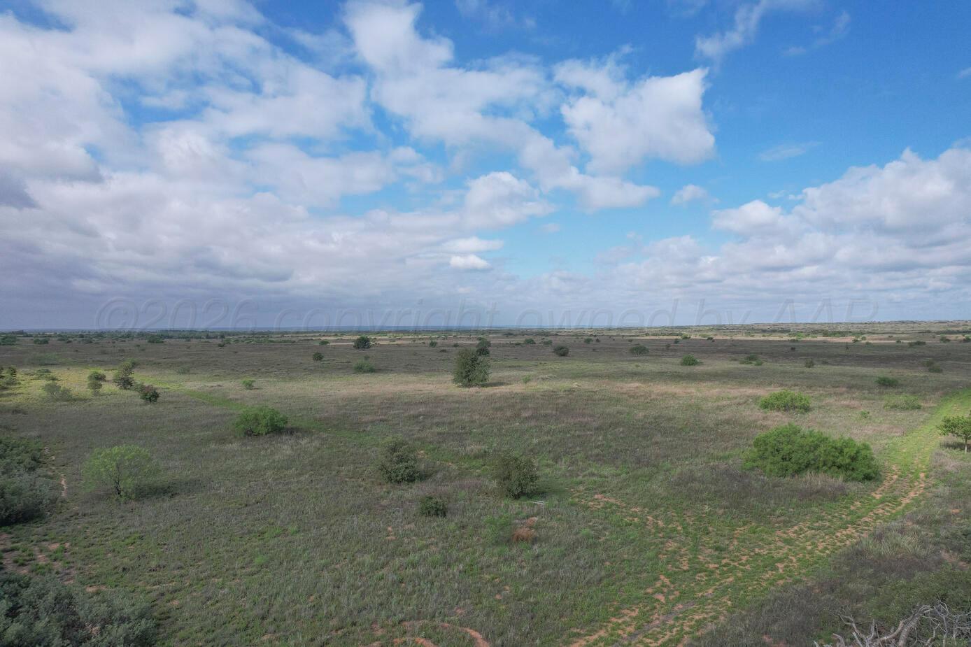 237.5 Acres Cottle County Property Photo 60