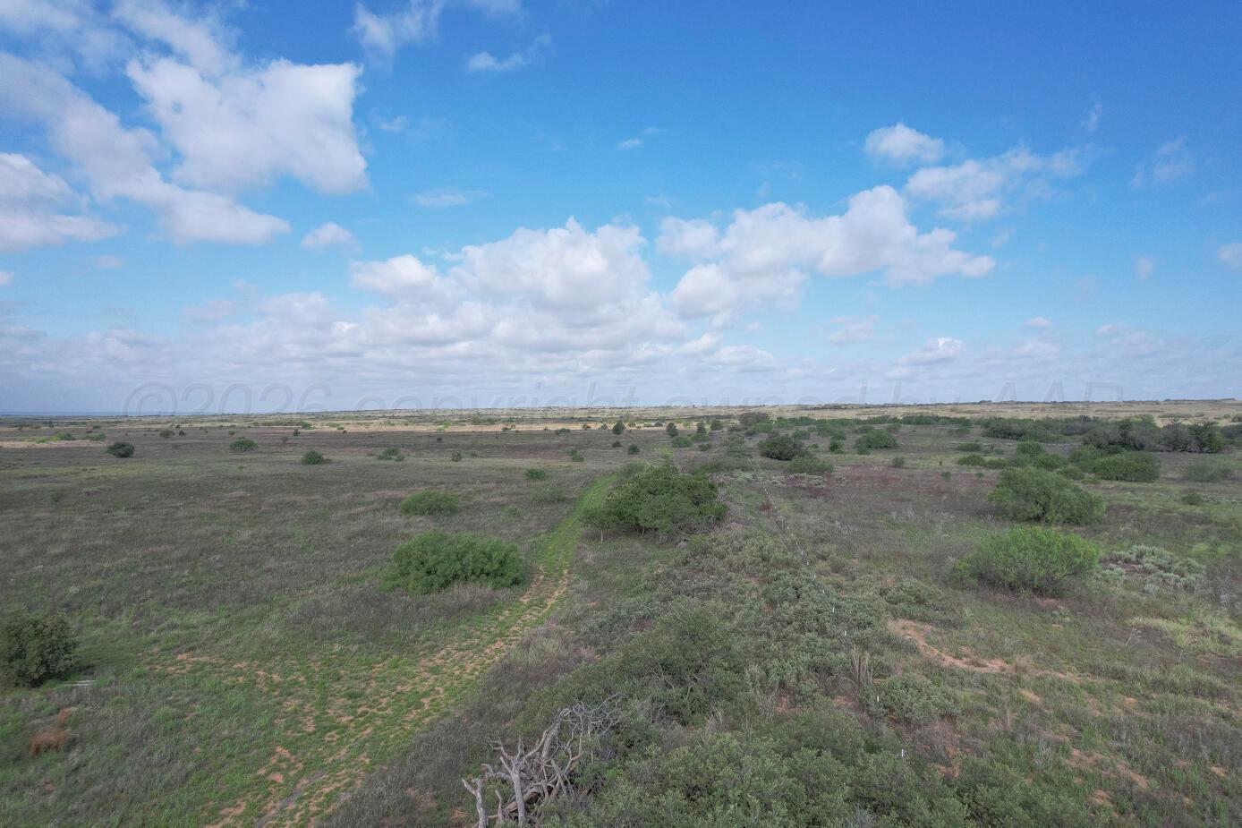 237.5 Acres Cottle County Property Photo 61