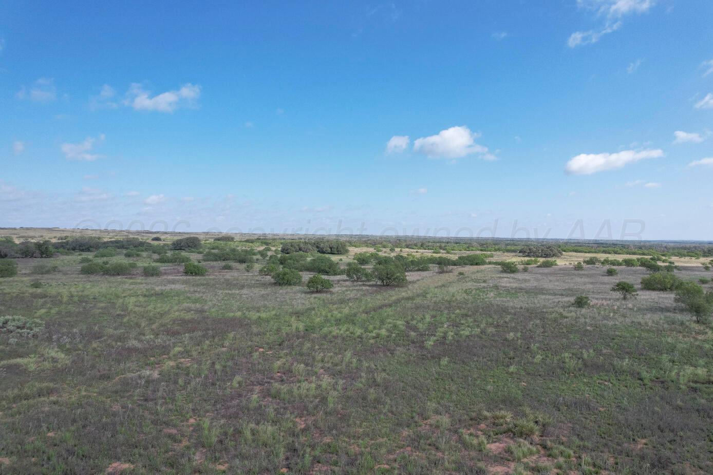 237.5 Acres Cottle County Property Photo 62
