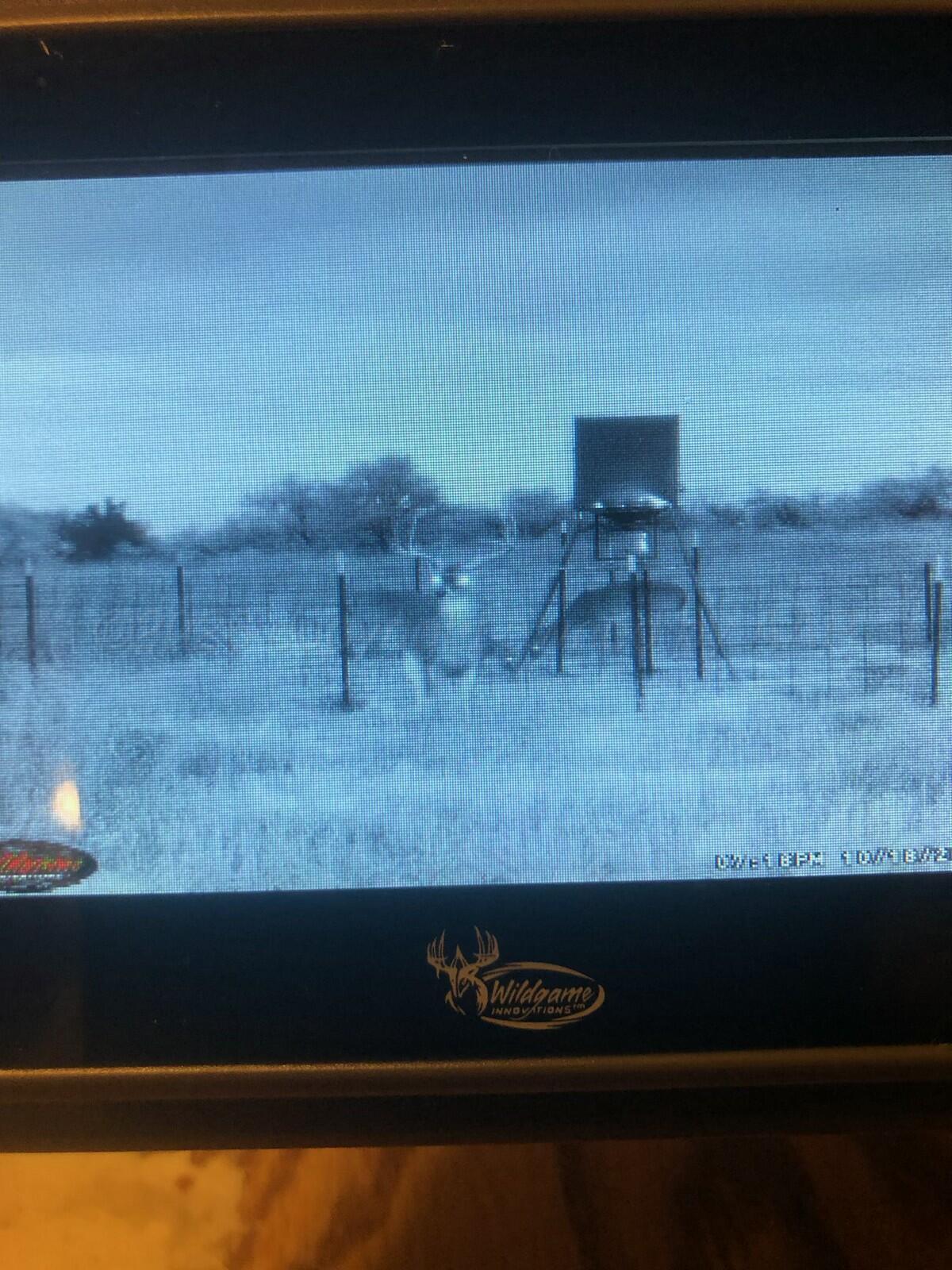 237.5 Acres Cottle County Property Photo 69