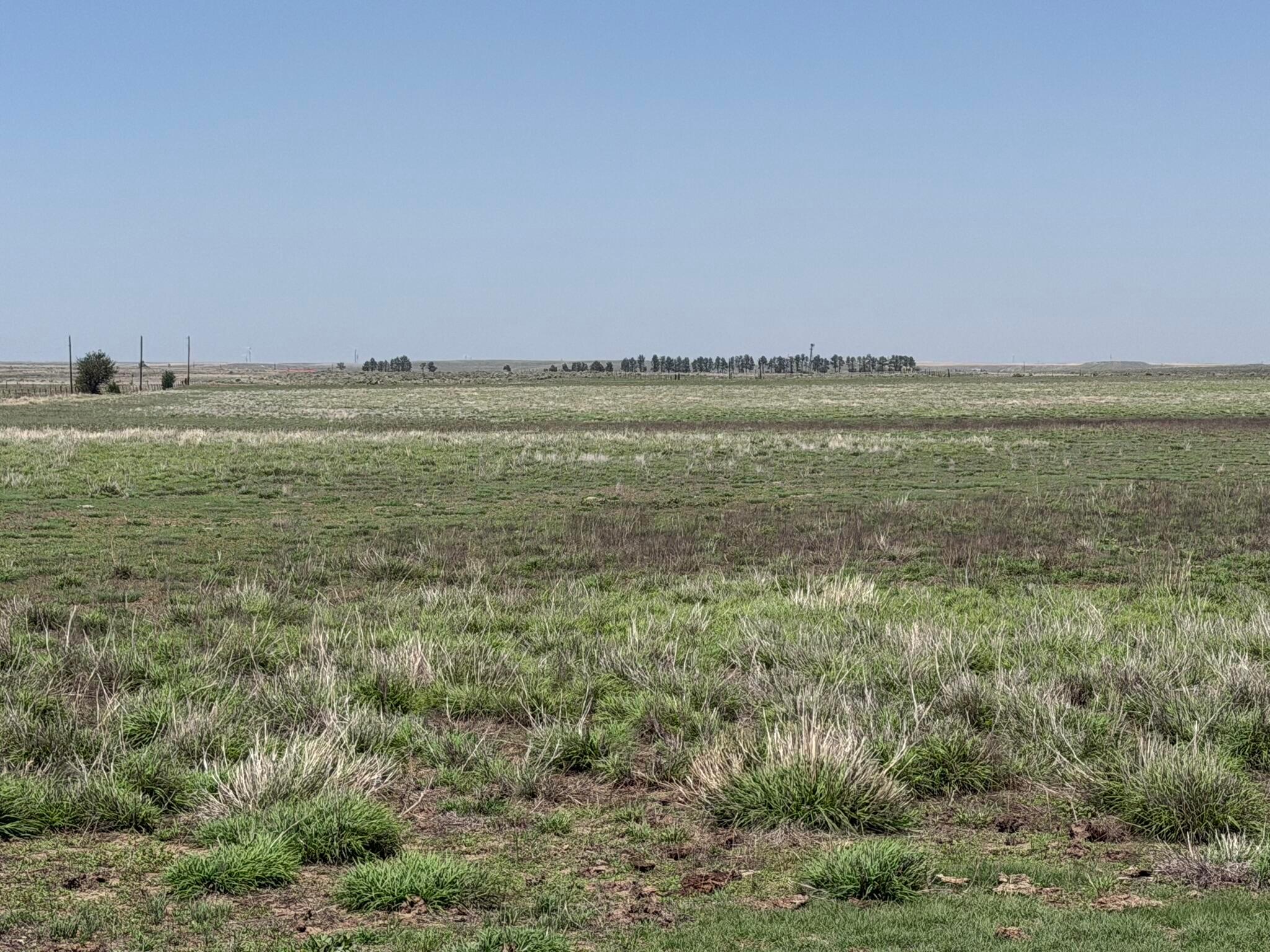 Tbd County Road 3 Property Photo 5