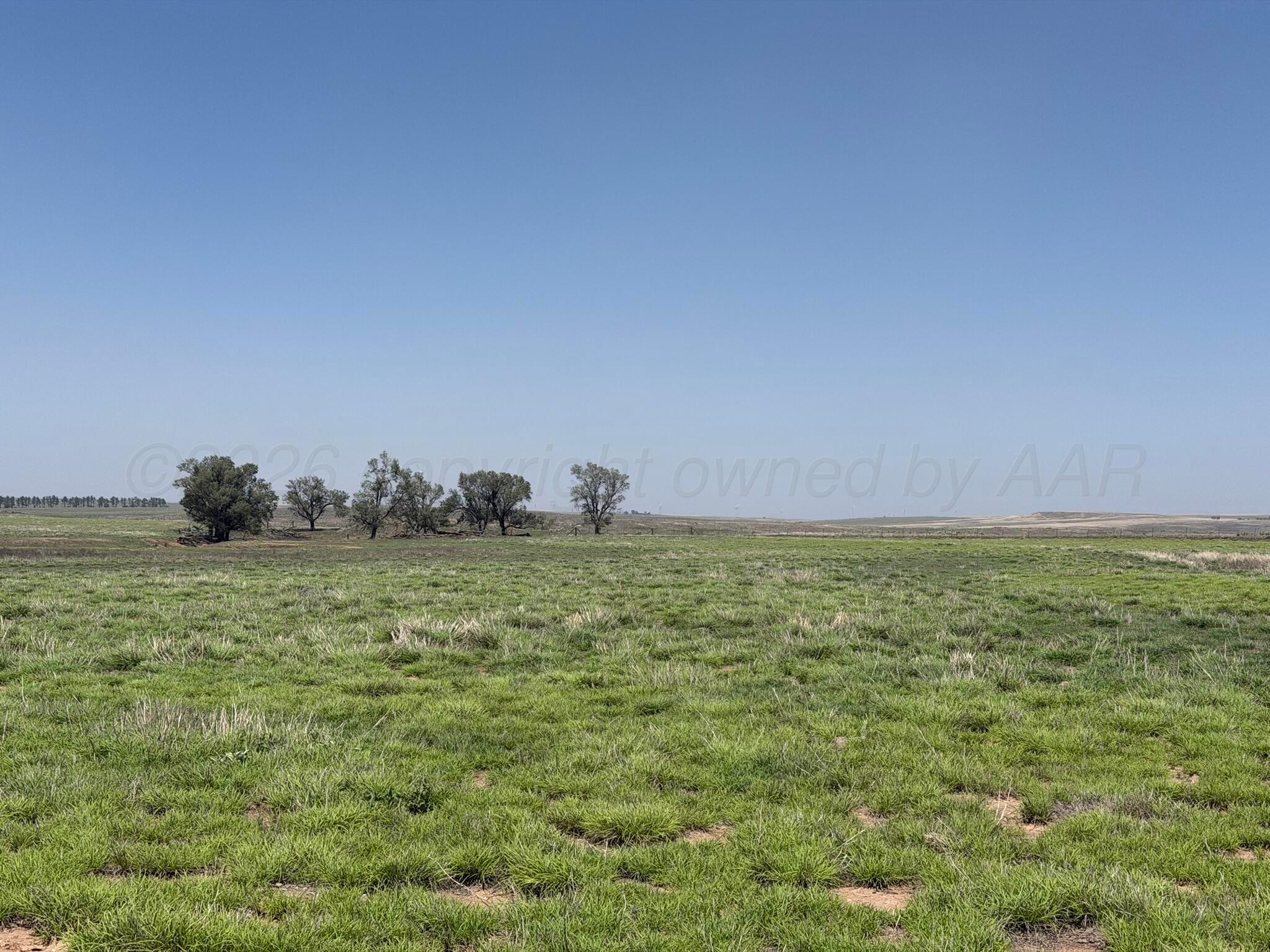 Tbd County Road 3 Property Photo 6